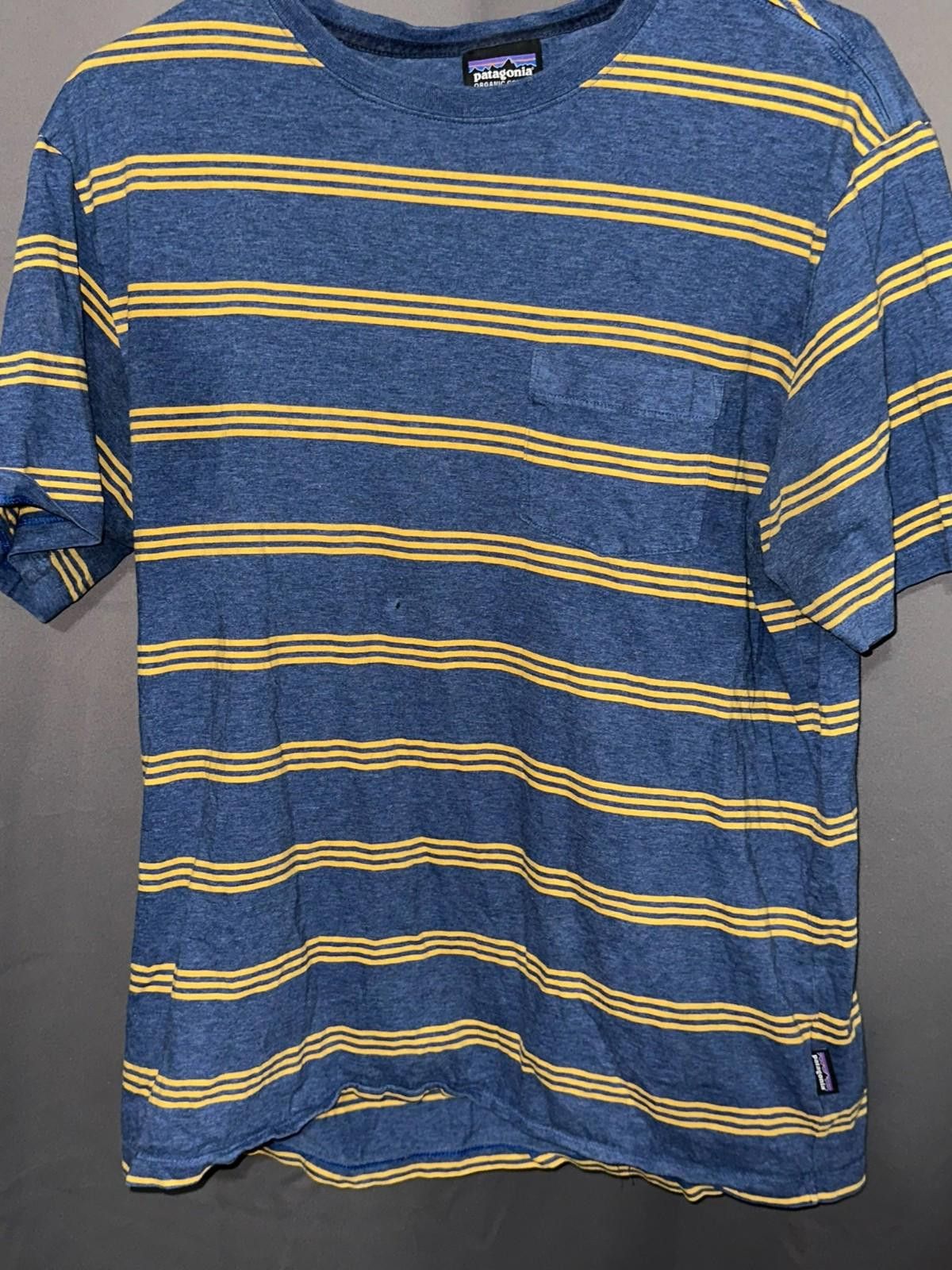 Patagonia Patagonia Organic Cotton Stripe Tee | M | Eco Chill Vibes Size US M / EU 48-50 / 2 - 2 Thumbnail