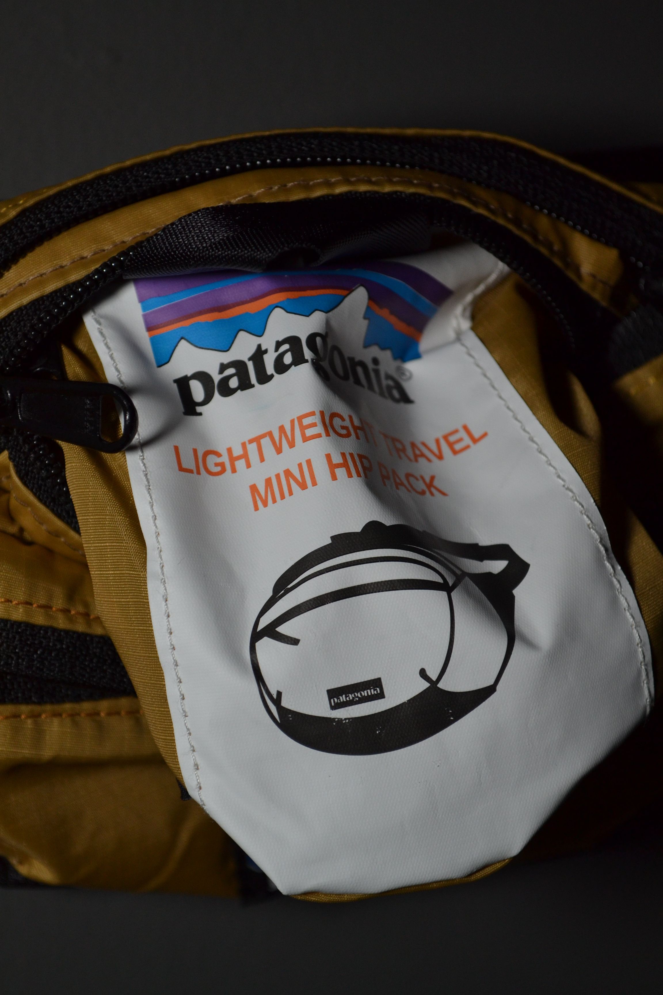Patagonia Patagonia Lightweight Travel Hip Bag Packable Size ONE SIZE - 8 Thumbnail