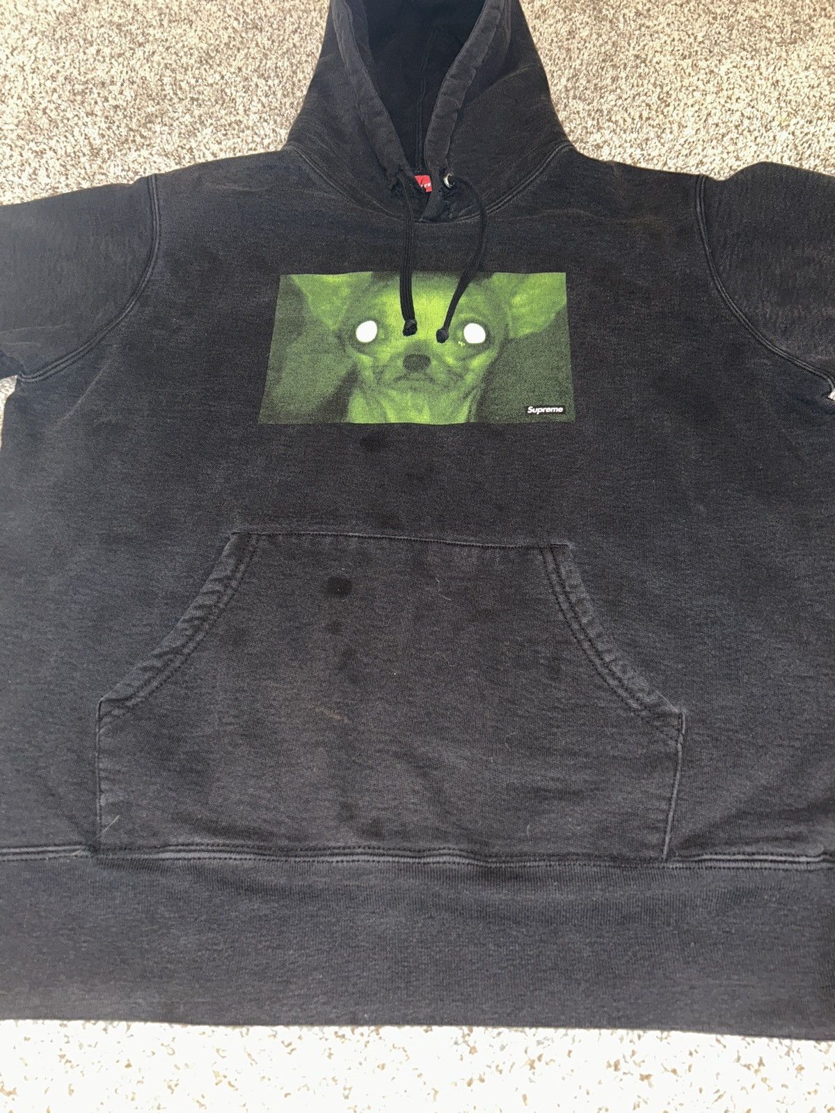 Supreme Supreme Chris Cunningham Chihuahua Hooded Sweatshirt Size US M / EU 48-50 / 2 - 9 Thumbnail
