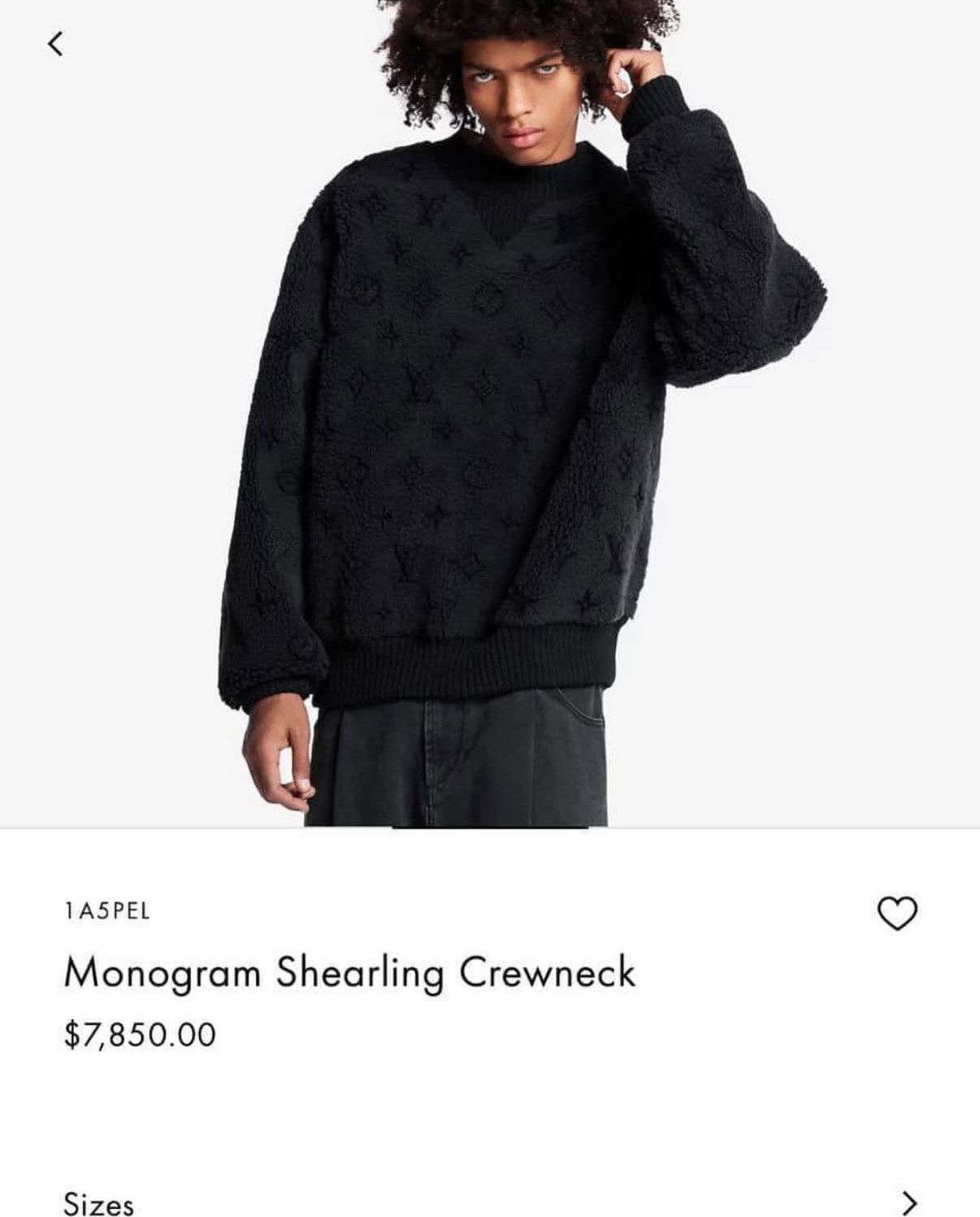 Louis Vuitton Lv Monogram Shearling Crewneck Size US M / EU 48-50 / 2 - 7 Thumbnail