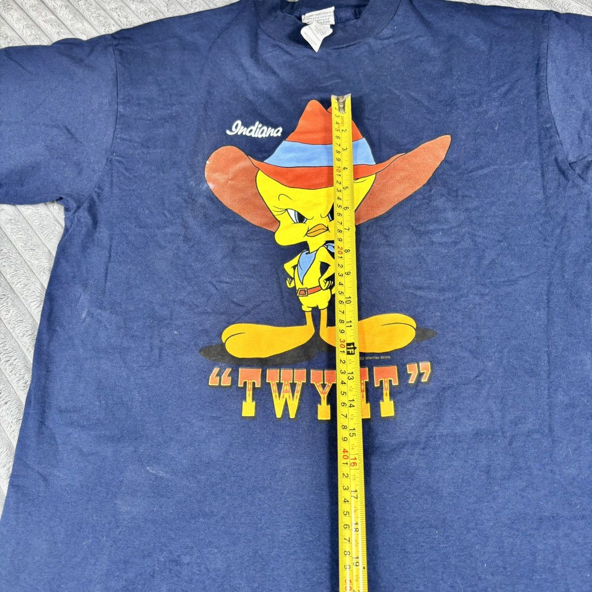 Other Tweety Bird 1993 Blue Cowboy “Twy It” T-Shirt Size Large Size US L / EU 52-54 / 3 - 10 Thumbnail