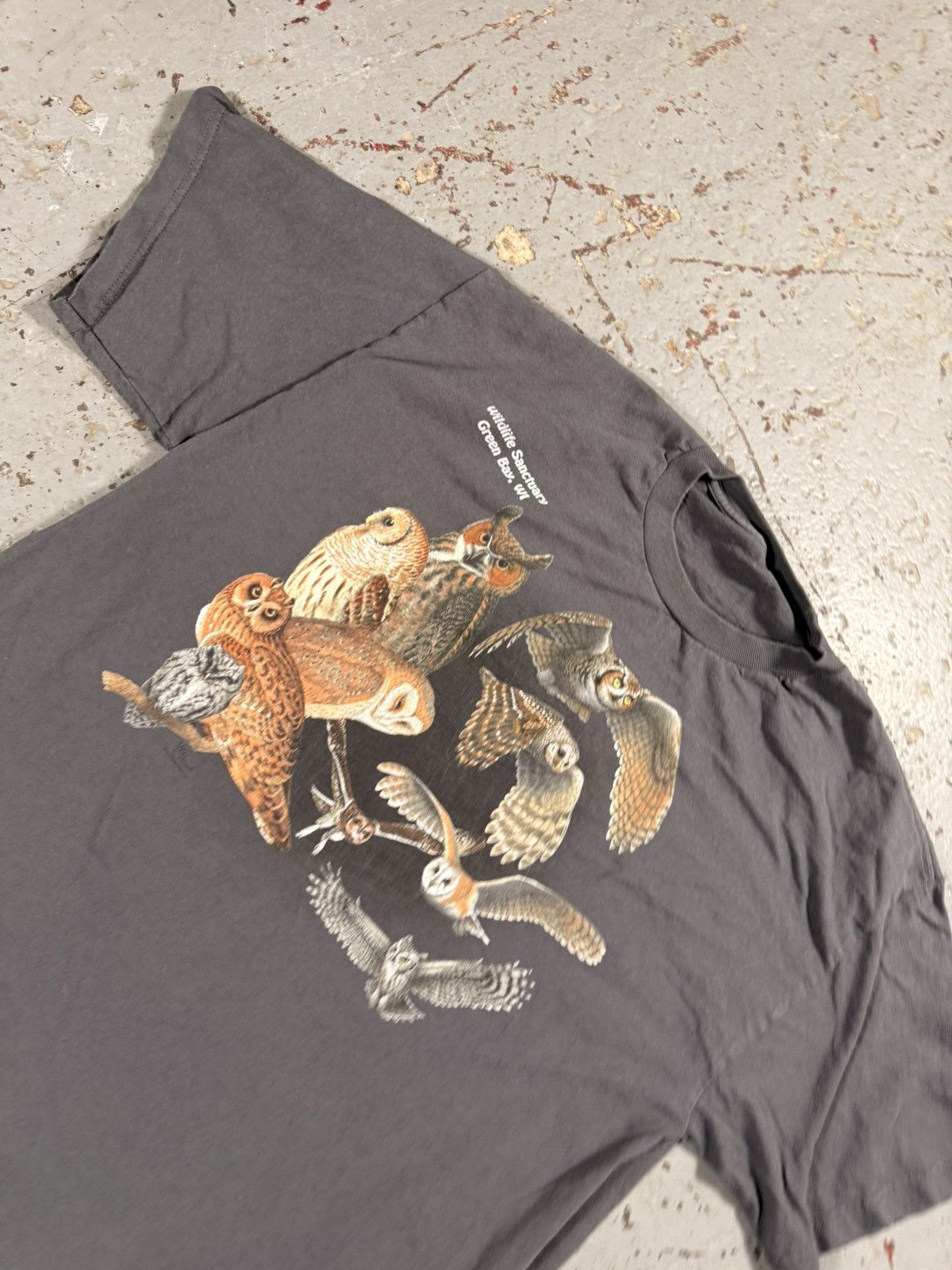 Other Vintage Nature Owls Tee National Park Size US XL / EU 56 / 4 - 2 Thumbnail