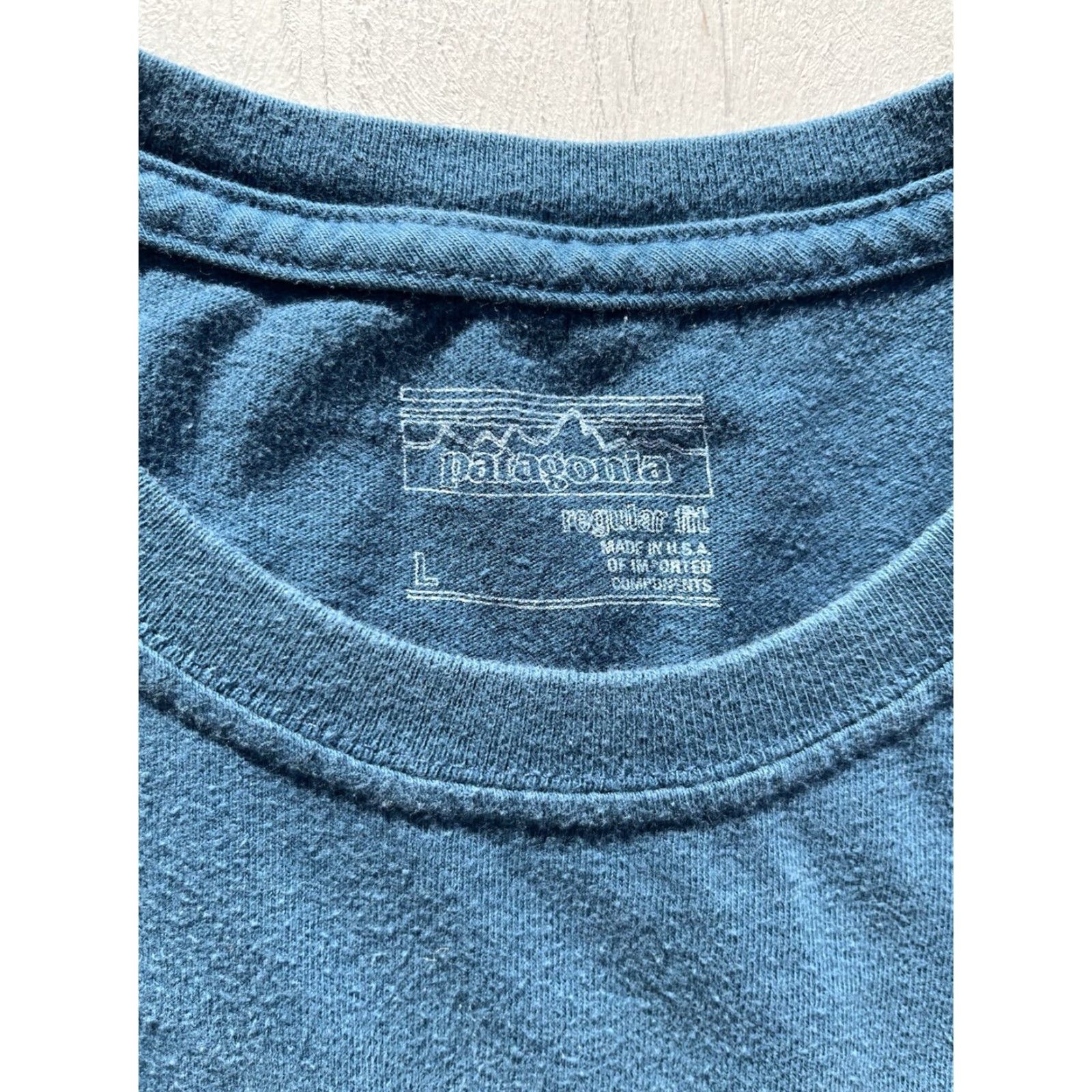 Patagonia Patagonia T-Shirt Blue/Green Logo Responsibili-tee Men’s L Shirt Regular Crew Neck 100% Organic Cotton Size US L / EU 52-54 / 3 - 4 Thumbnail
