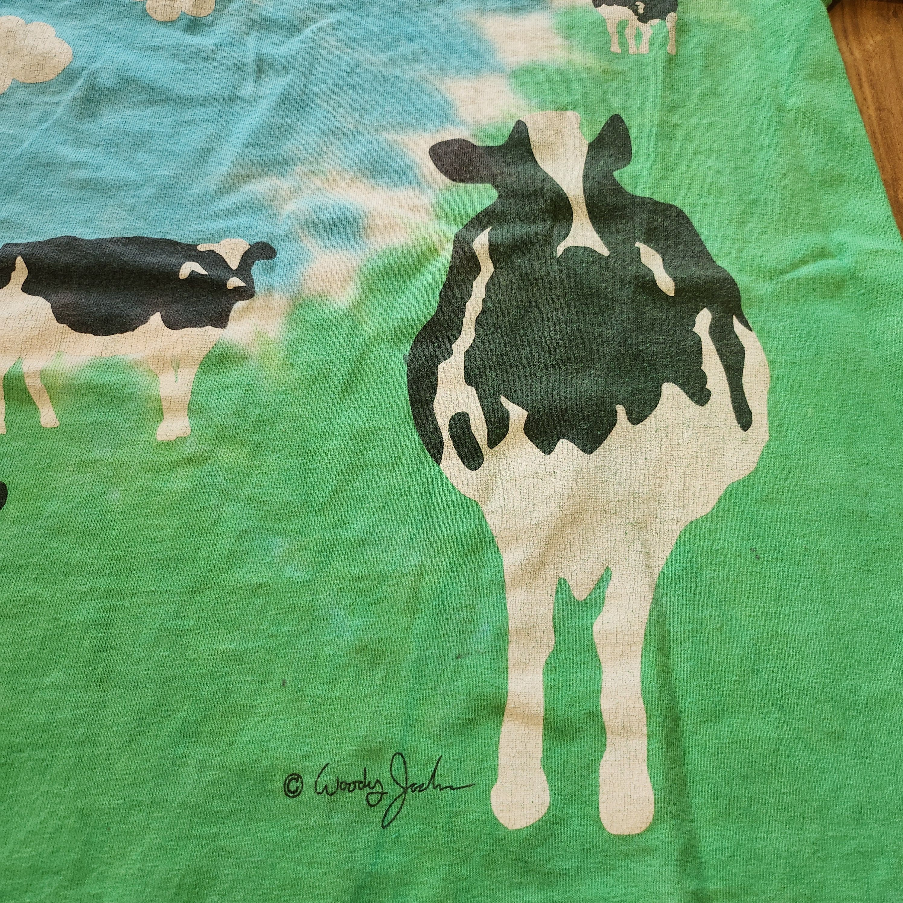 Gildan × Vintage Ben & Jerry’s Euphoria T-Shirt Sz S Nike SB Chunky Dunky Size US M / EU 48-50 / 2 - 6 Thumbnail