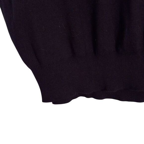 Polo Ralph Lauren Polo Ralph Lauren Mens Blue Sleeveless V-Neck Sweater Vest 1 Size US M / EU 48-50 / 2 - 8 Thumbnail