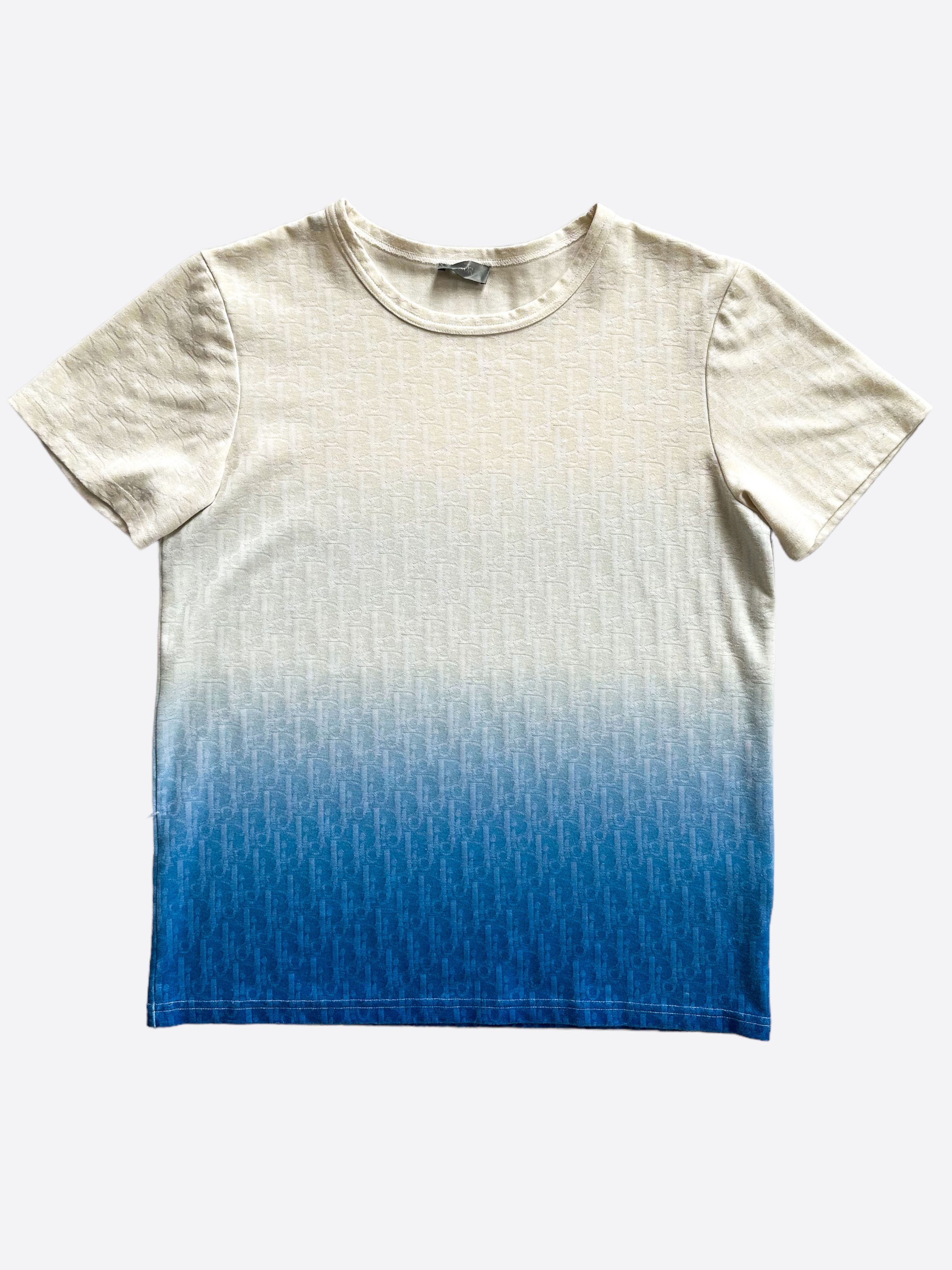 Dior Dior Oblique Sheer T-shirt in White Men's Size M | Grailed