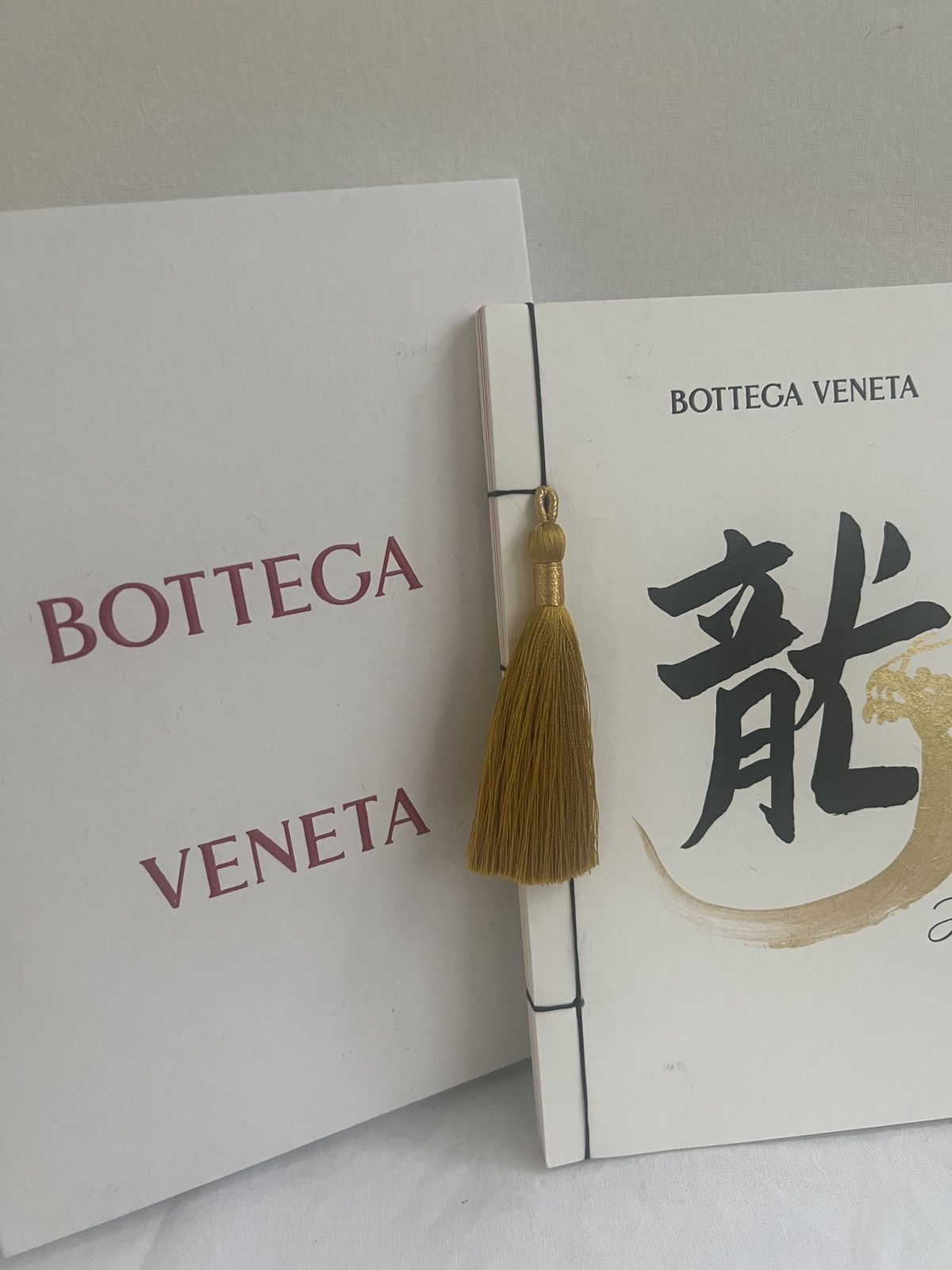 Bottega Veneta 🐉 Bottega Veneta Chinese calligraphy notebook Size ONE SIZE - 1 Thumbnail