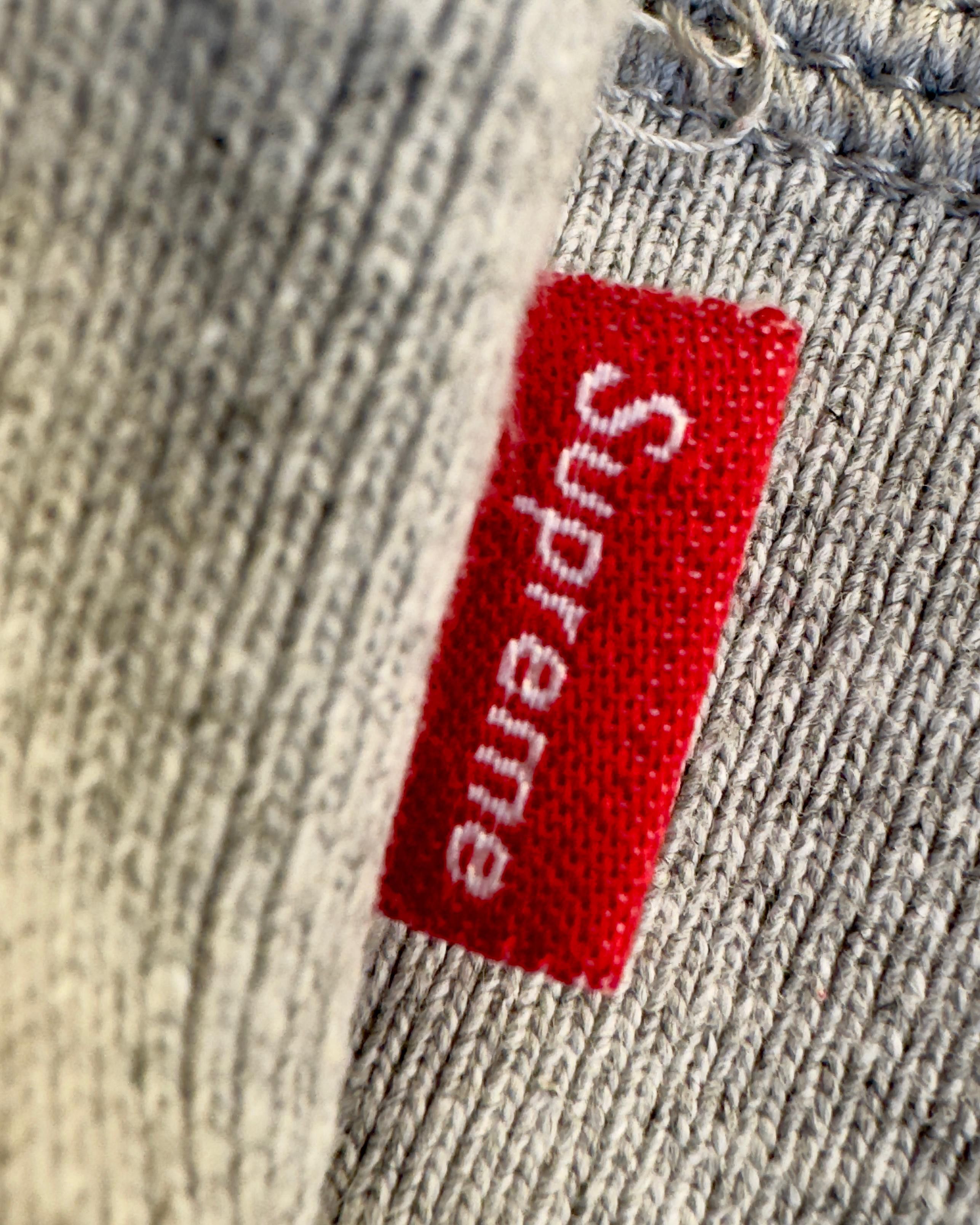 Supreme SUPREME LE LUXE HOODIE SS19 Size US M / EU 48-50 / 2 - 7 Thumbnail
