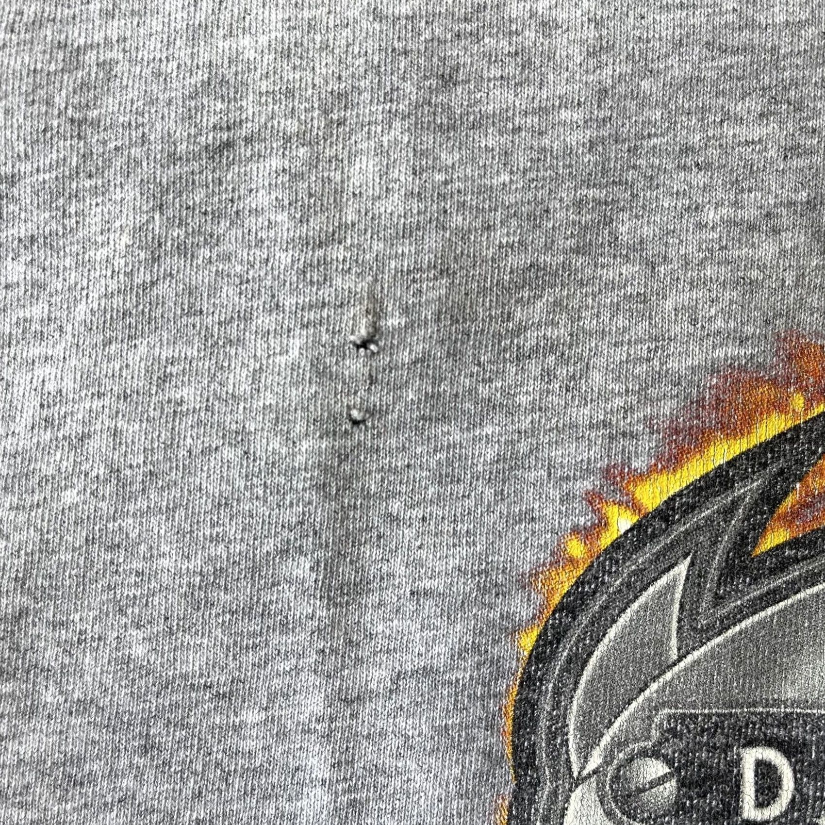 Hanes VINTAGE Daytona Beach Bike Week Shirt Mens Large Gray 2005 Motorcycle Event Flame Tee Size US L / EU 52-54 / 3 - 3 Thumbnail