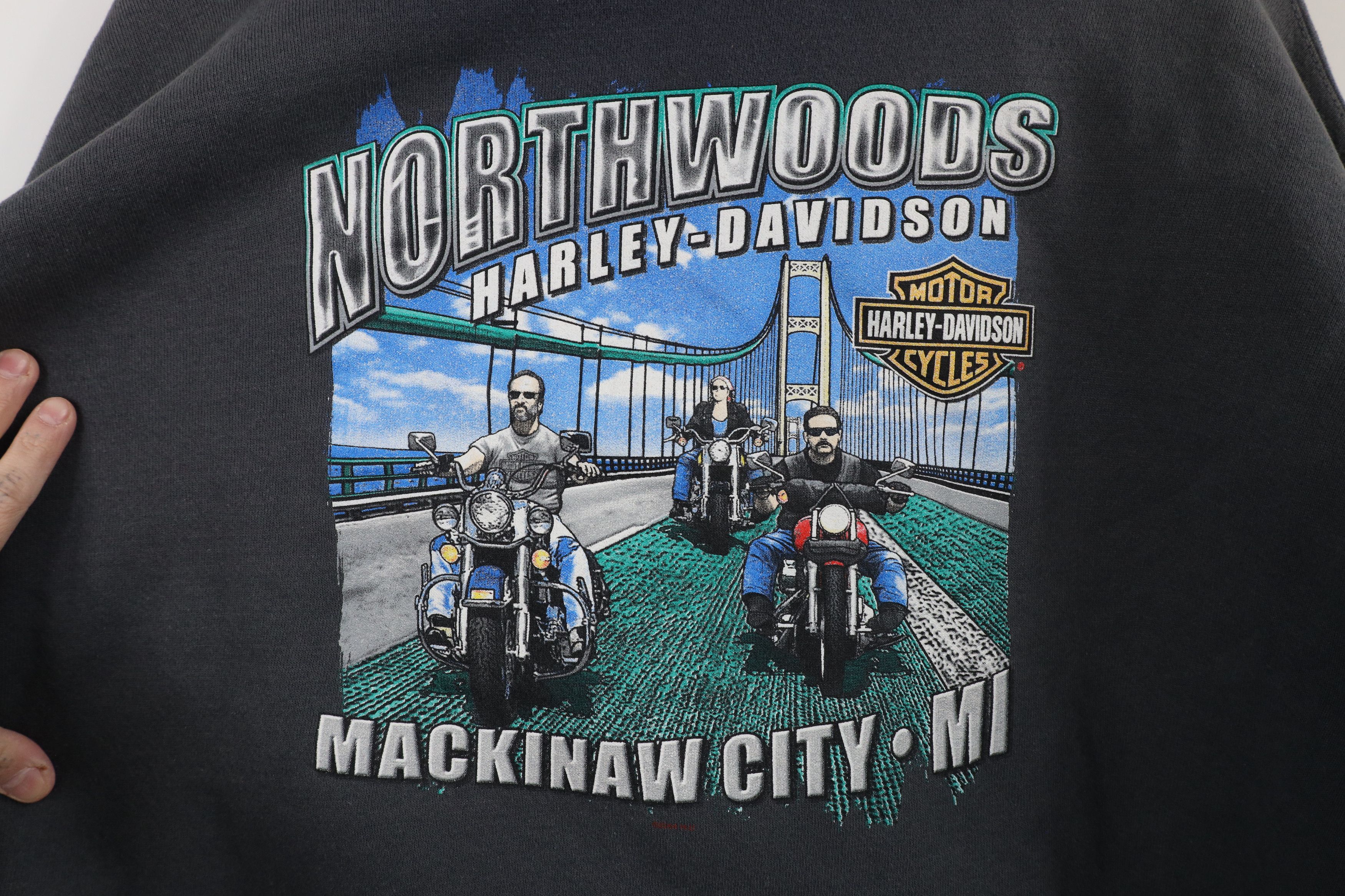 Harley Davidson × Vintage Vintage Y2K Harley Davidson Spell Out Hoodie Sweatshirt Gray Size US XL / EU 56 / 4 - 11 Thumbnail