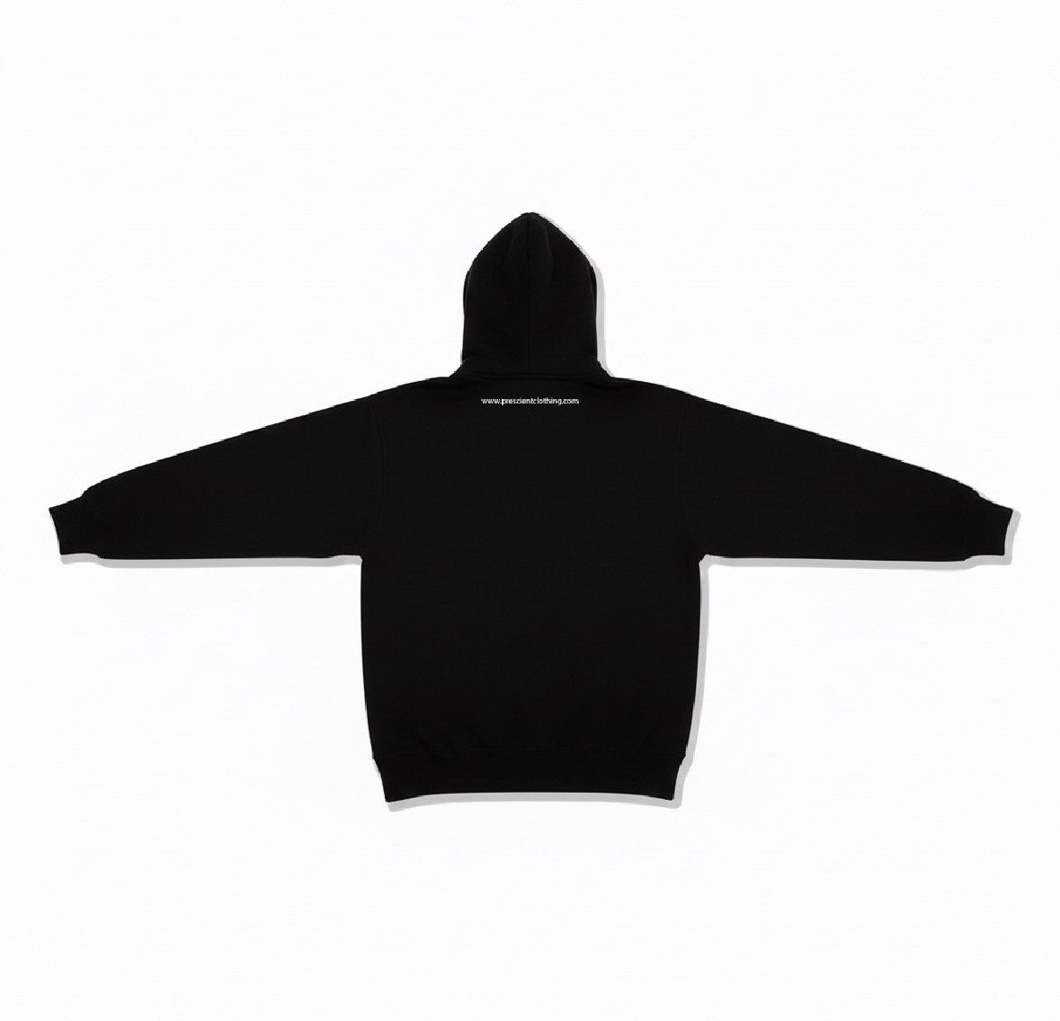 Other PRESCIENT SS26 SENTINELLE VERTE HOODIE Size US L / EU 52-54 / 3 - 2 Thumbnail