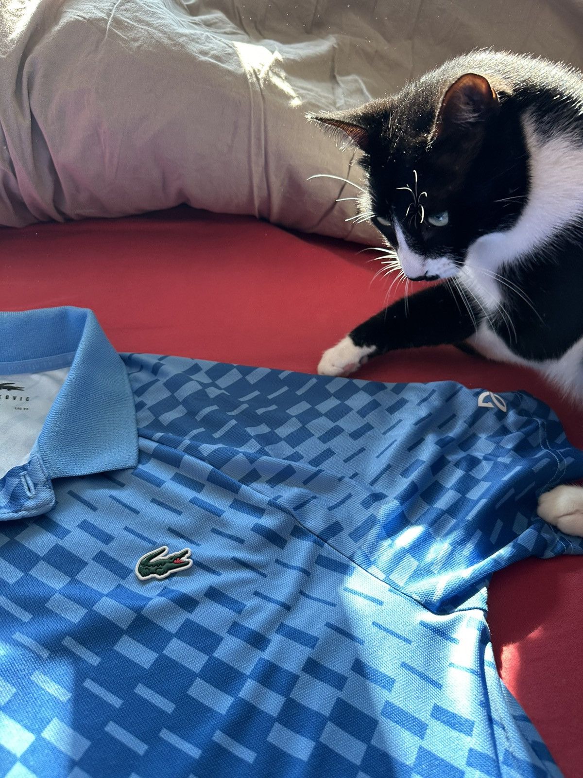 Lacoste Lacoste polo Size US M / EU 48-50 / 2 - 6 Thumbnail
