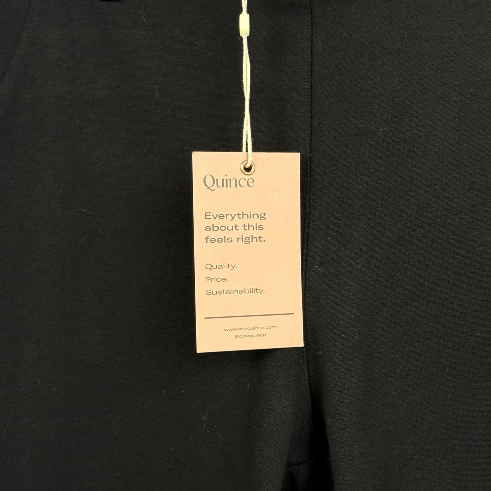 Quince Quince Womens Petite Black Ultra Stretch Ponte Pants Straight Leg NWT Size 32" / US 10 / IT 46 - 3 Thumbnail