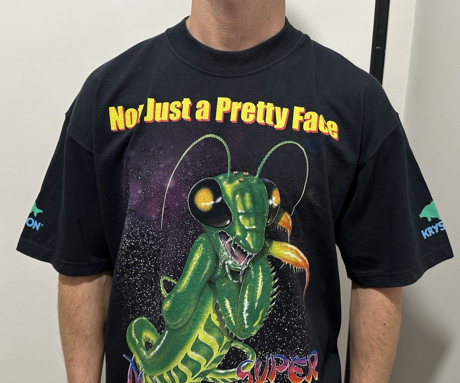 Gildan Vintage 90s Don’t Tangle With Me Super Mantis Shirt Graphic Size US XL / EU 56 / 4 - 3 Thumbnail