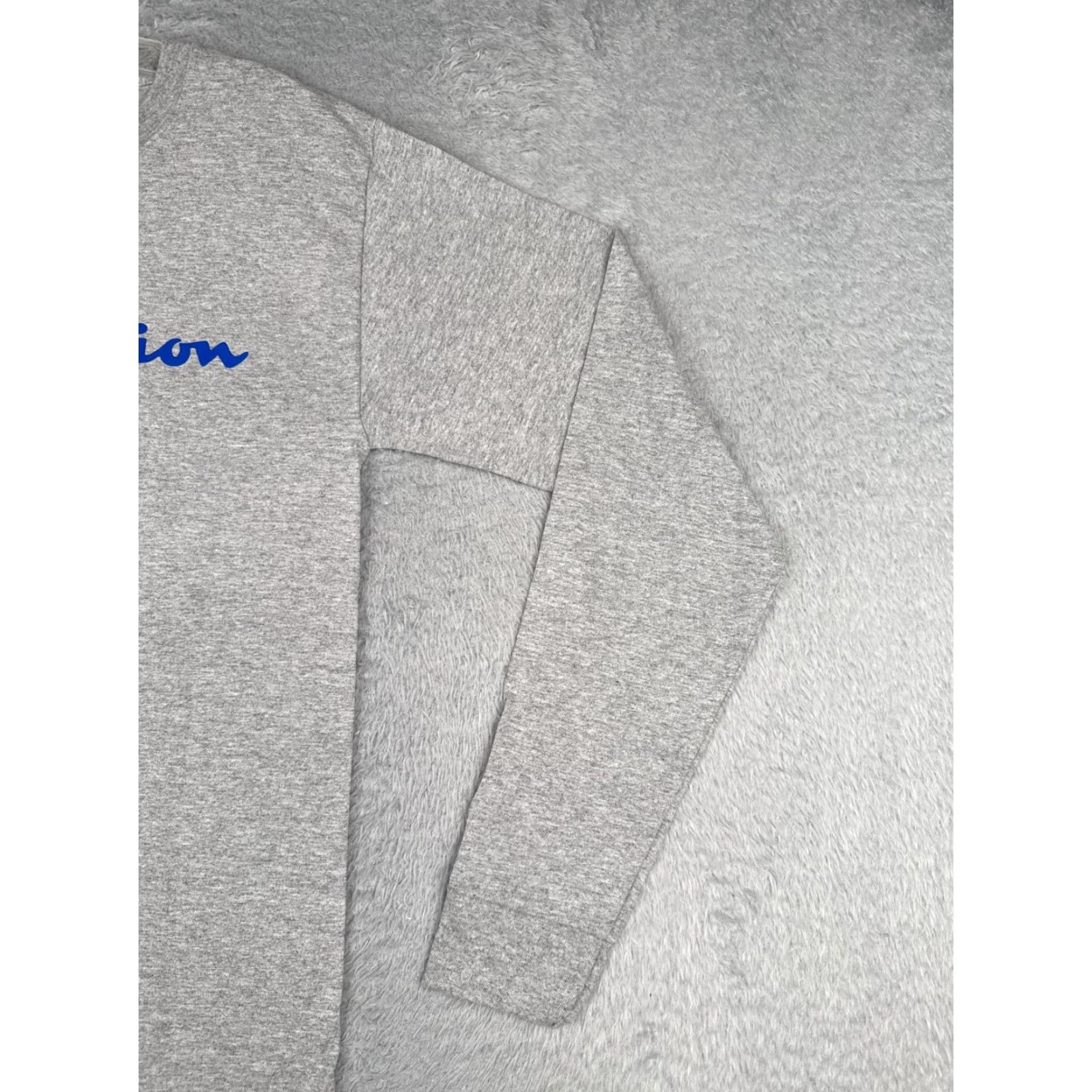 Champion Champion Shirt Men Adult Small Gray Long Sleeve Crew Neck Cotton Blend NEW NO TAGS Size US S / EU 44-46 / 1 - 2 Thumbnail