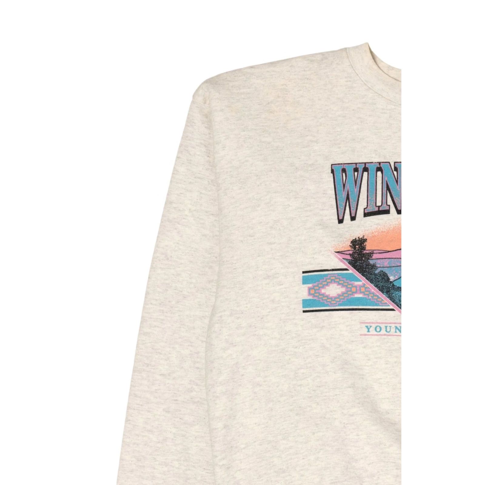 Hanes VINTAGE Windy Gap Young Life Sweatshirt Hanes Grey Sweatshirt Adult Medium Original Size US M / EU 48-50 / 2 - 6 Thumbnail