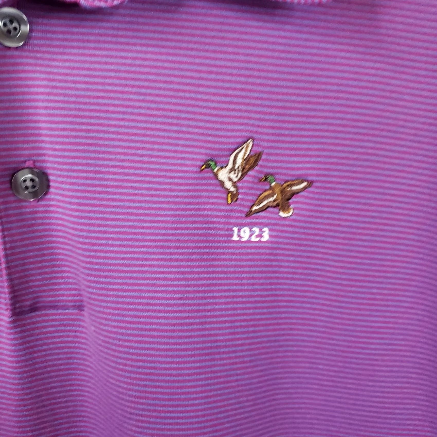 Vintage Ashworth Polo Shirt Purple Striped Short Sleeve Embroidered Mens L Button Closure Collared Polo Golf Shirt JS Size US L / EU 52-54 / 3 - 6 Thumbnail