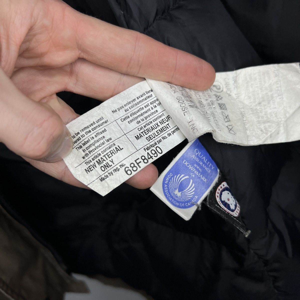Canada Goose Canada Goose Trillium Parka winter down jacket hood Coyote Size S / US 4 / IT 40 - 15 Thumbnail