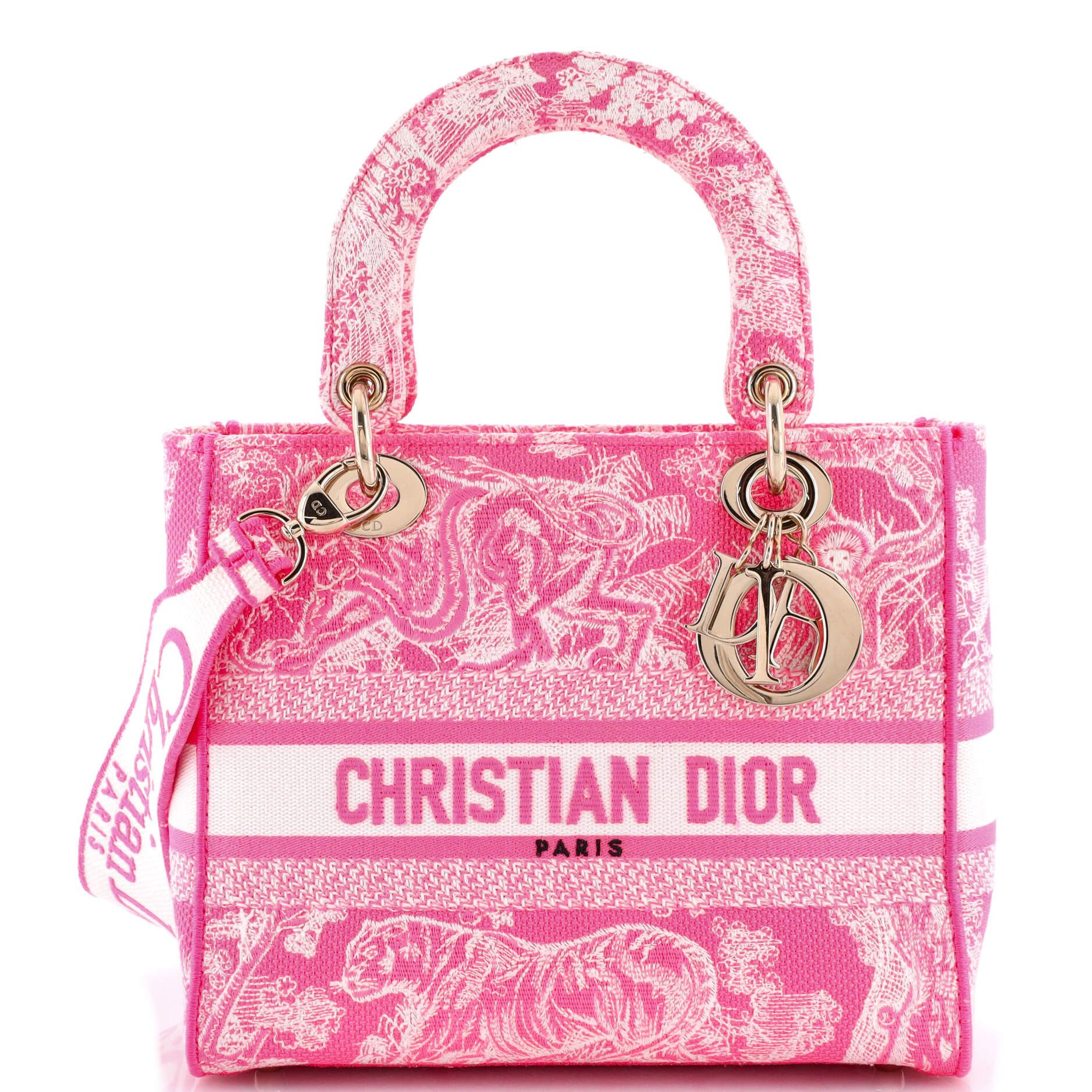 Dior Toile de Jouy Lady D-Lite Bag Size ONE SIZE - 1 Thumbnail