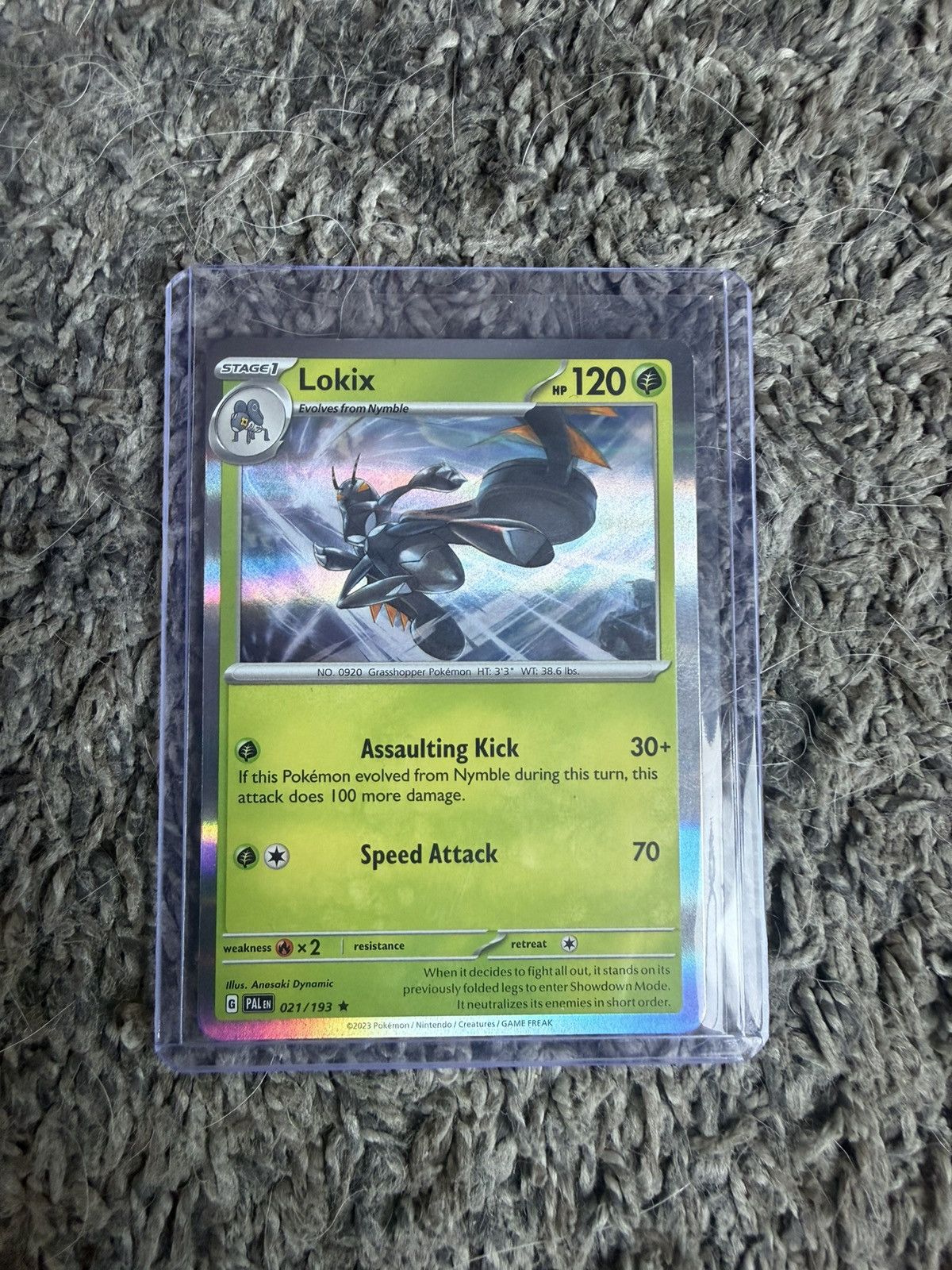 Pokemon 2023 Pokémon Lokix Card Size ONE SIZE - 1 Thumbnail