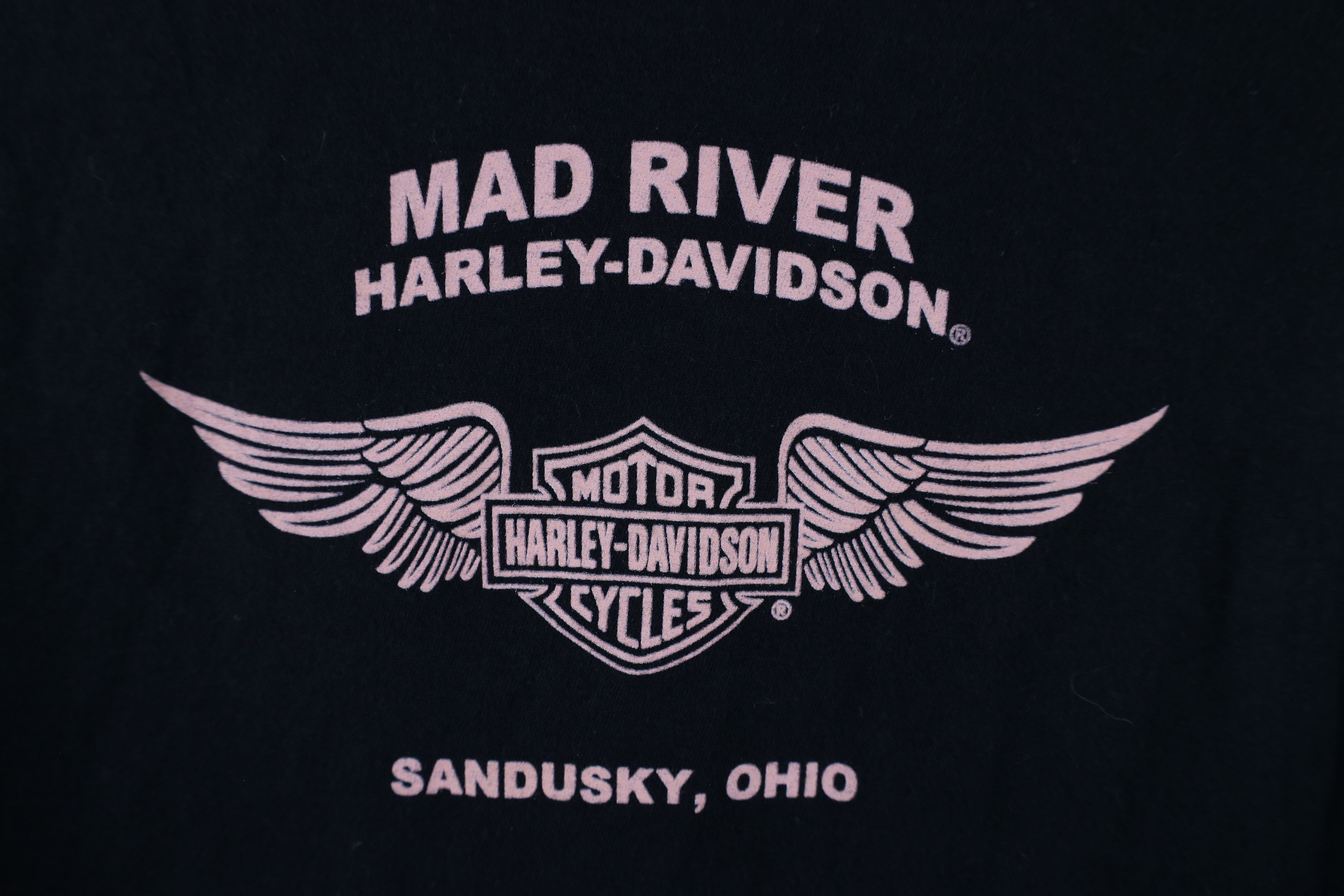 Harley Davidson × Vintage Vintage Y2K Harley Davidson Out Racing Long Sleeve T-Shirt Size M / US 6-8 / IT 42-44 - 10 Thumbnail