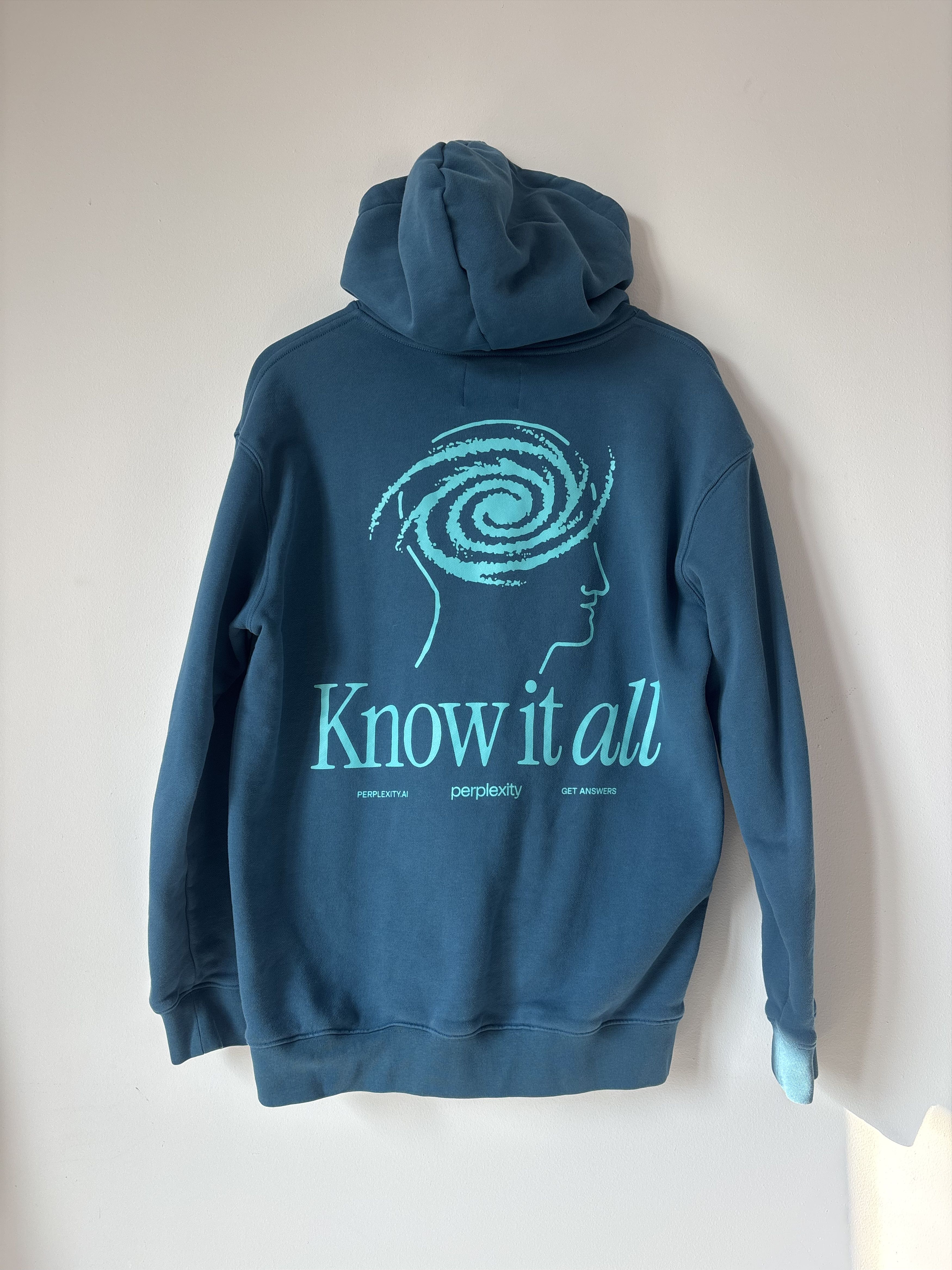 Other Perplexity AI Know It All Hoodie Rare AI Merch Teal Large Size US L / EU 52-54 / 3 - 2 Thumbnail