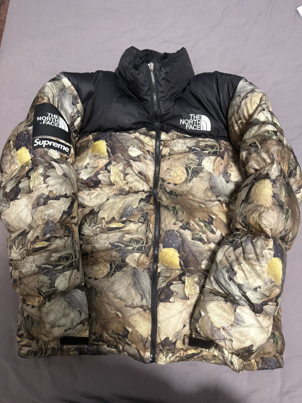 Supreme × The North Face Supreme tnf the north face leaves nuptse Jacket Size US L / EU 52-54 / 3 - 1 Thumbnail