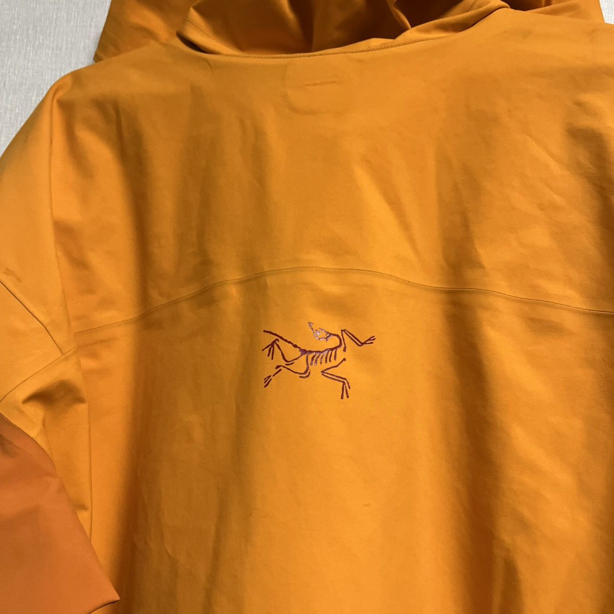 Arc'teryx Men's Arcteryx Beta Gore-Tex Jacket Recco Gorpcore Size US L / EU 52-54 / 3 - 25 Thumbnail