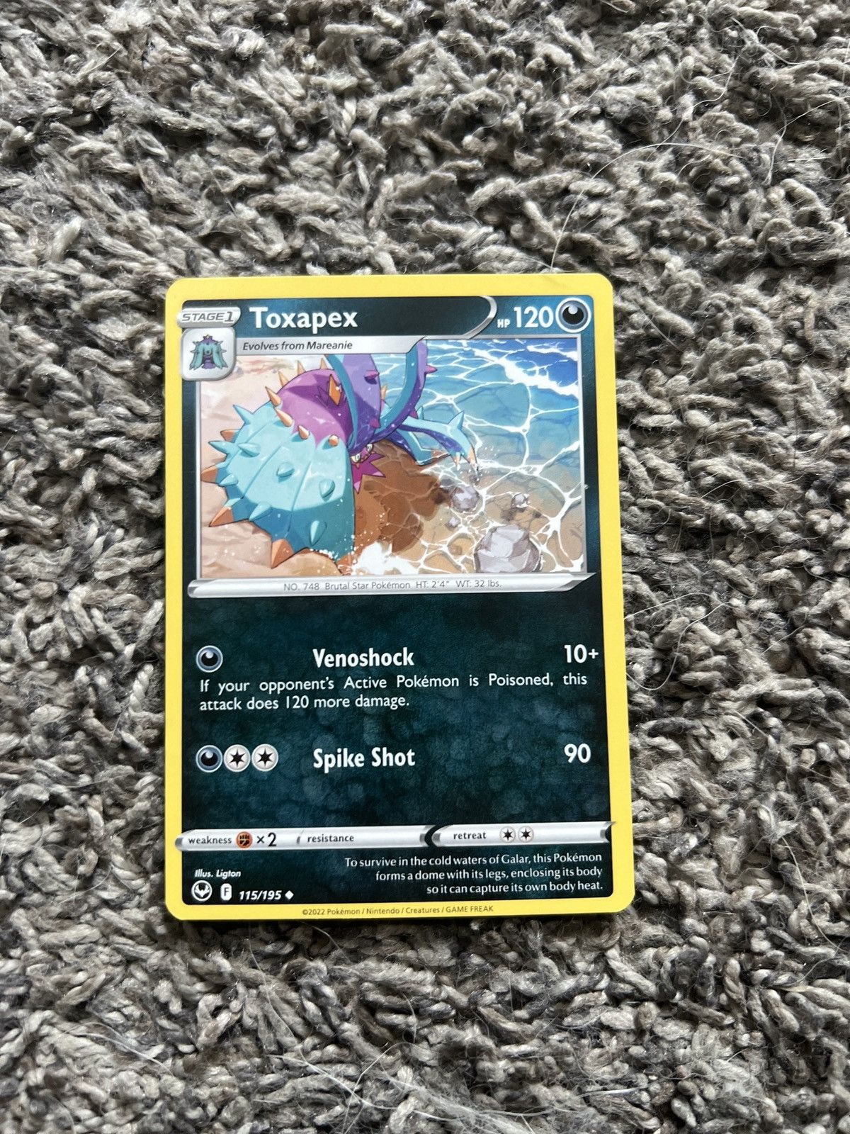 Pokemon 2022 Pokémon Toxapex Stage 1 Card Size ONE SIZE - 1 Thumbnail