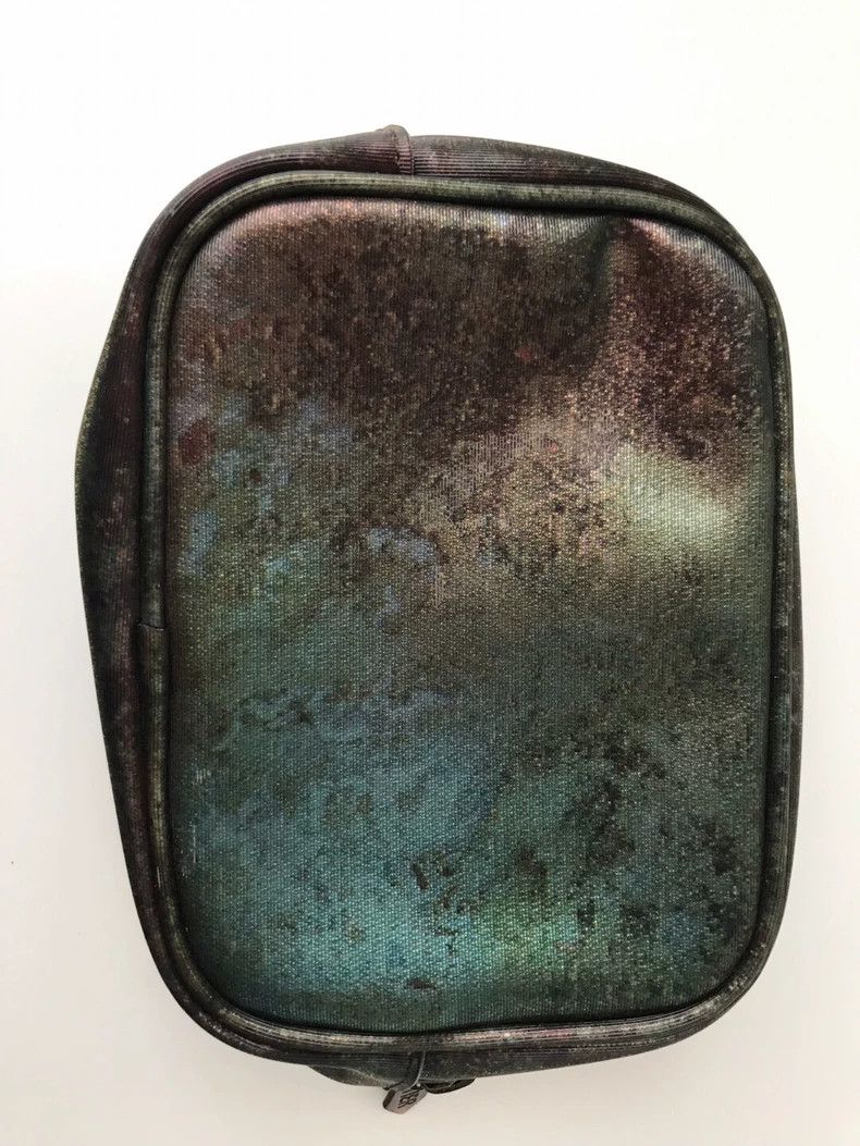 Jean Paul Gaultier Jean Paul Gaultier Jade Insect Color Cosmetic Bag 2504-Next Size ONE SIZE - 3 Thumbnail