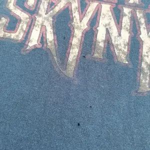 Band Tees × Vintage Crazy Vintage Y2k LYNYRD SKYNYRD Tour Tee 2008 Size US M / EU 48-50 / 2 - 7 Thumbnail