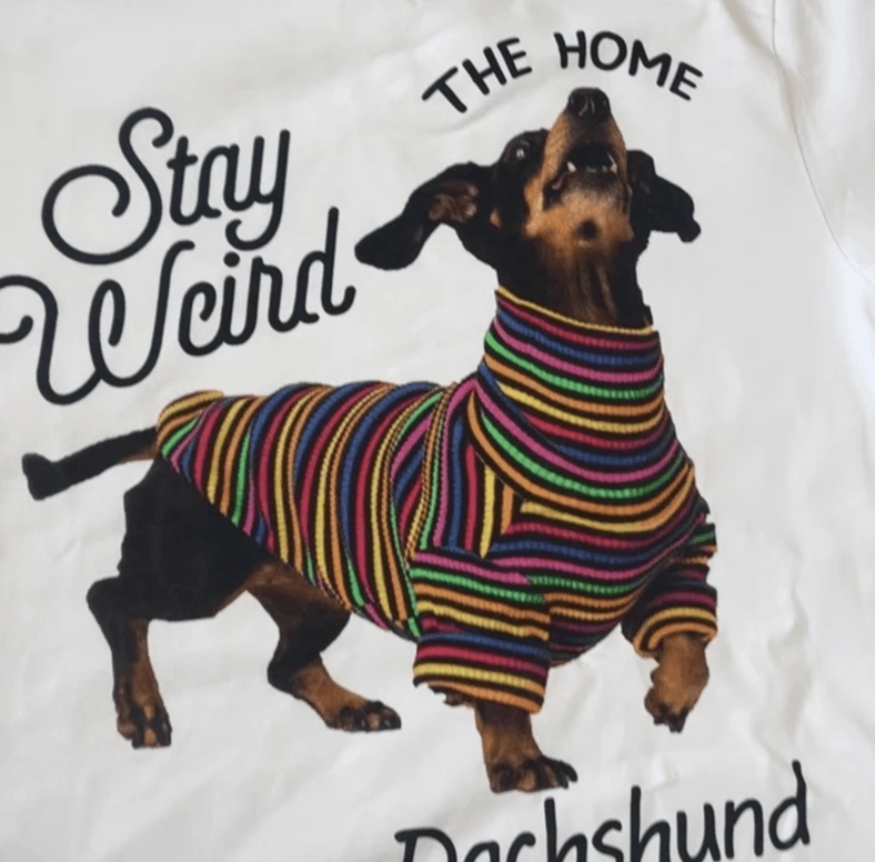 Vision Streetwear Dachshund Graphic Men's Short Sleeve Size US S / EU 44-46 / 1 - 3 Thumbnail