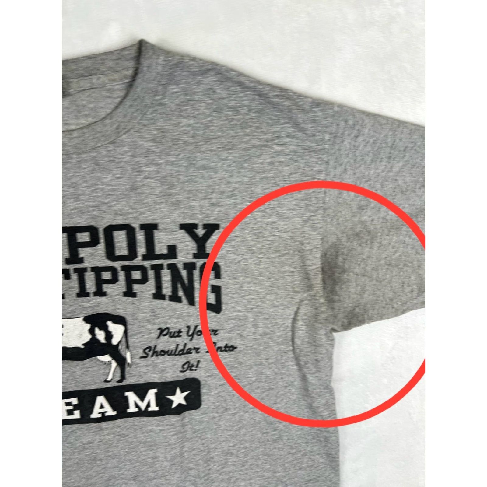 Vintage VINTAGE Cal Poly Cow Tipping Team T-Shirt Mens Large Gray College Humor Shirt Size US L / EU 52-54 / 3 - 3 Thumbnail