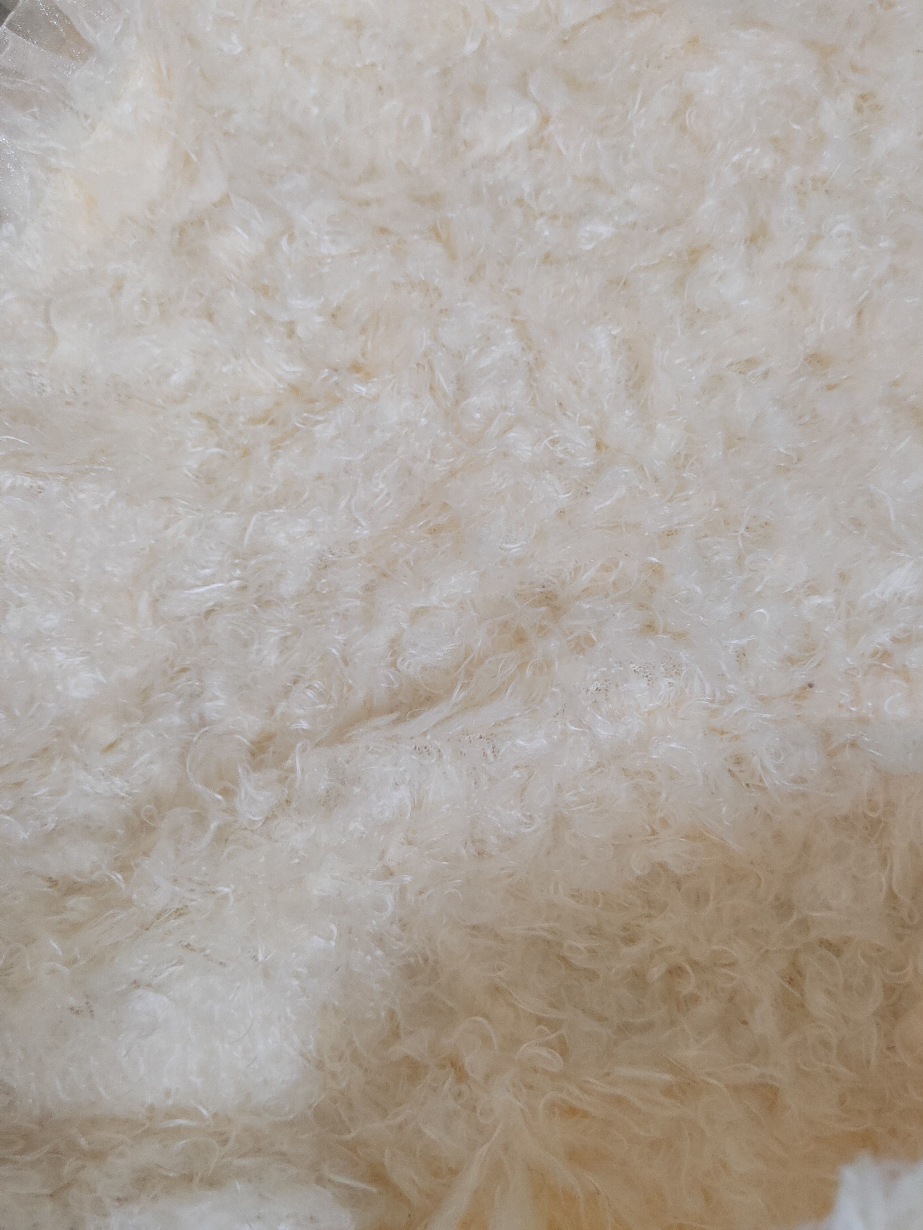 Homespun Knitwear × Japanese Brand × Vintage Evelyn Light Orange Shag Shaggy Fur Mohair Knitwear #S1996 Size S / US 4 / IT 40 - 10 Thumbnail