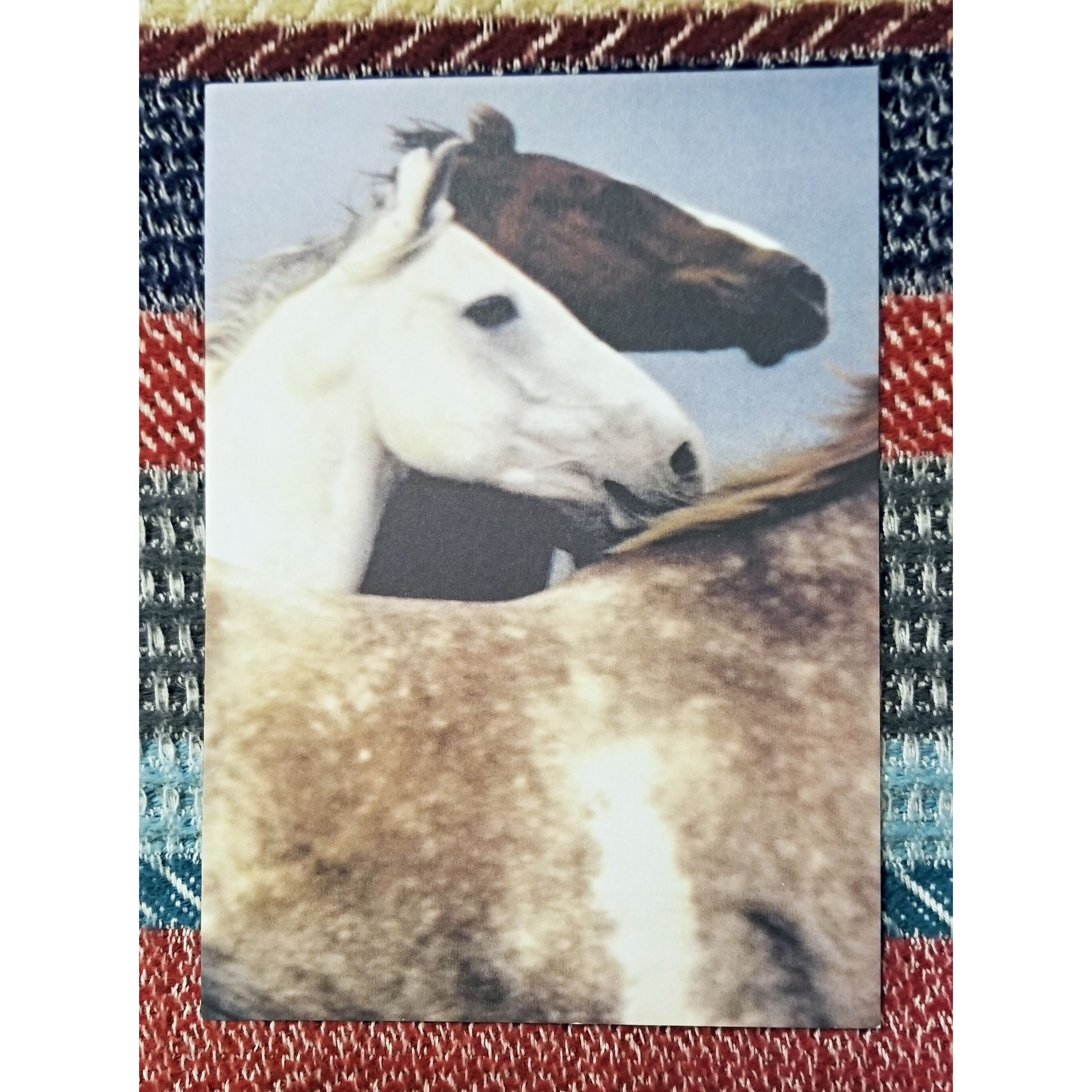 RRL Ralph Lauren *XTREMELY RARE* DOUBLE RL RALPH LAUREN RRL VINTAGE POSTCARDS Size ONE SIZE - 6 Thumbnail