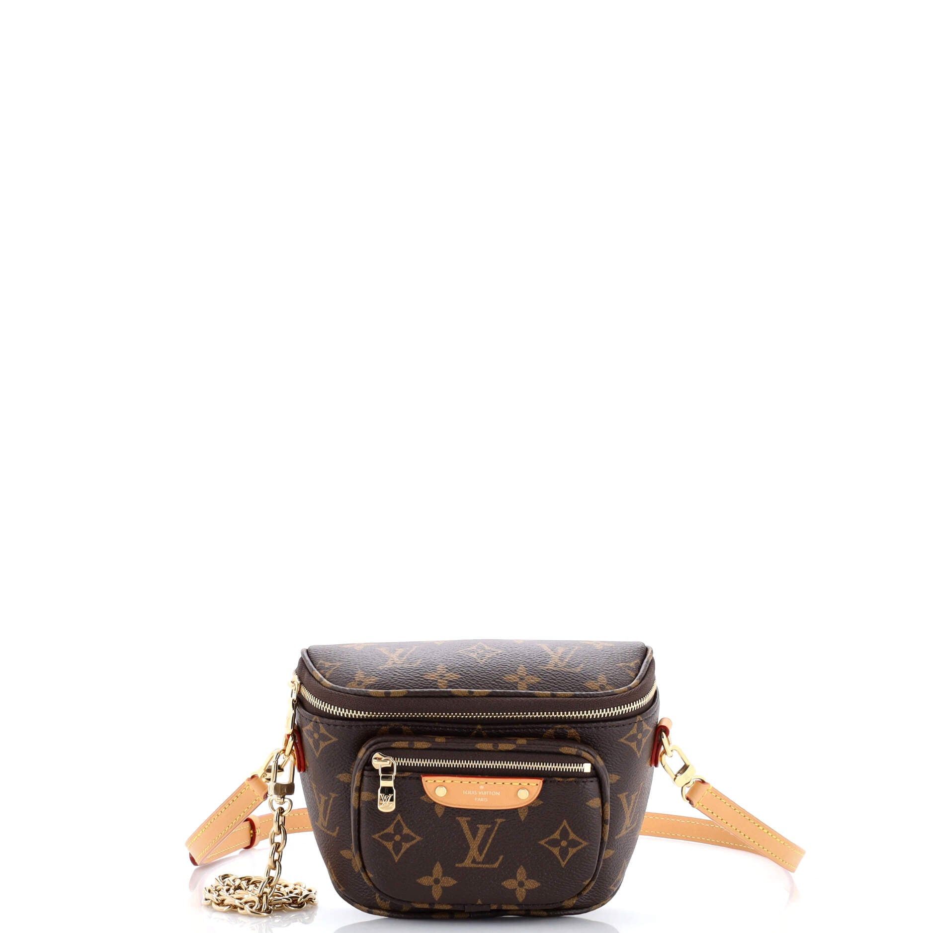 Louis Vuitton Bum Bag Size ONE SIZE - 1 Thumbnail