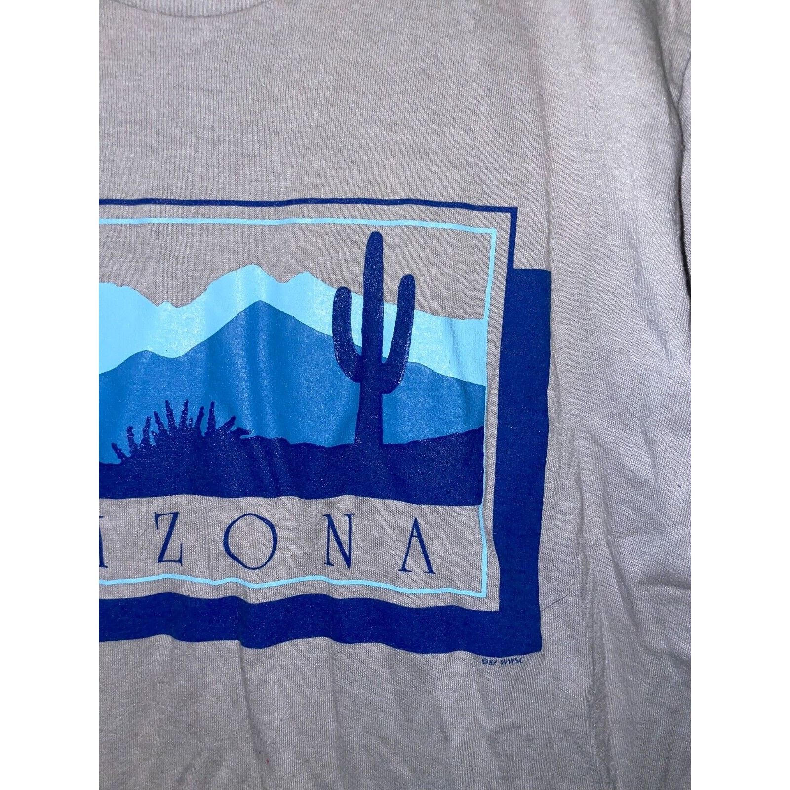 Jerzees 1980s Vintage Arizona Shirt Gray Blue Cactus Tee 80s 1987 M Size US M / EU 48-50 / 2 - 4 Thumbnail
