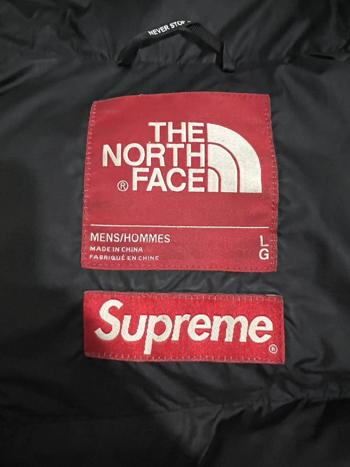 Supreme × The North Face Supreme tnf the north face leaves nuptse Jacket Size US L / EU 52-54 / 3 - 8 Thumbnail