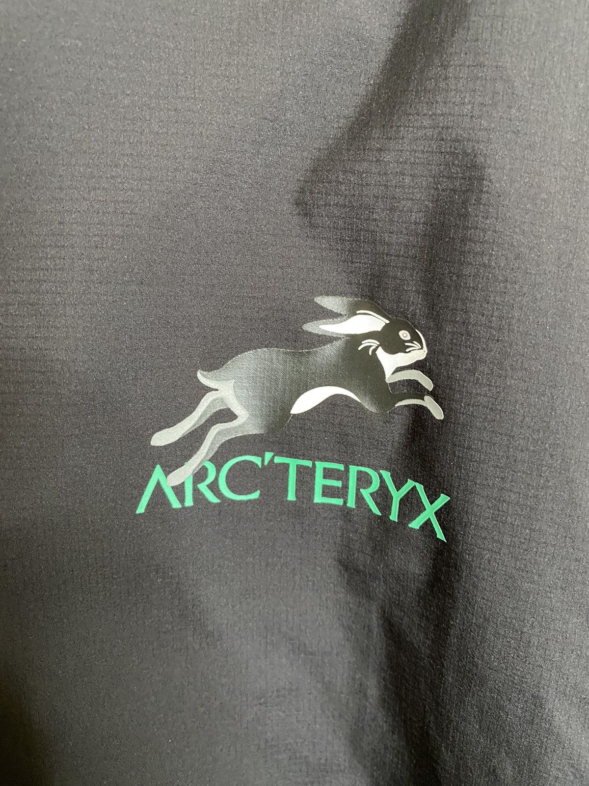 Arc'teryx Arcteryx Lunar New Year Atom LT Jacket Size US L / EU 52-54 / 3 - 5 Thumbnail
