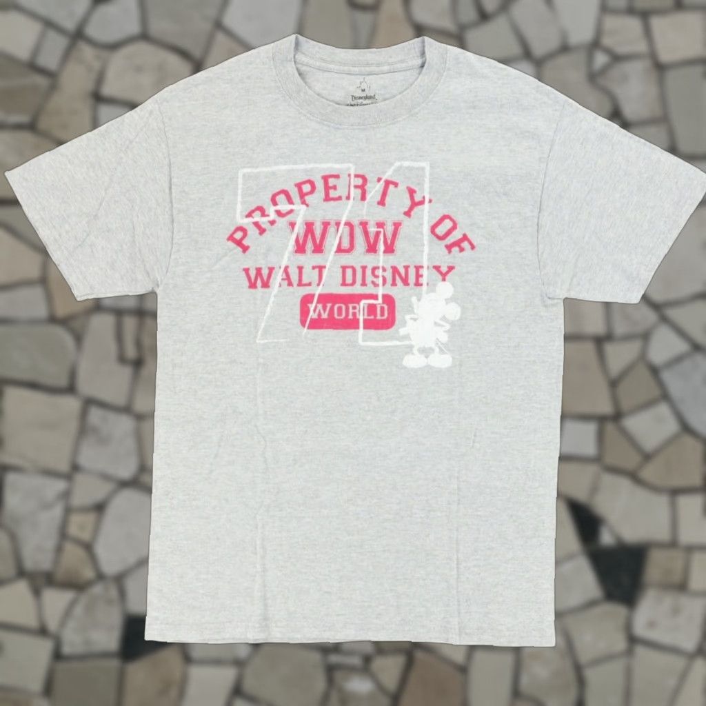 Disney Disney Property of Walt Disney Solid T-Shirt Gray Men's M Size US M / EU 48-50 / 2 - 1 Thumbnail
