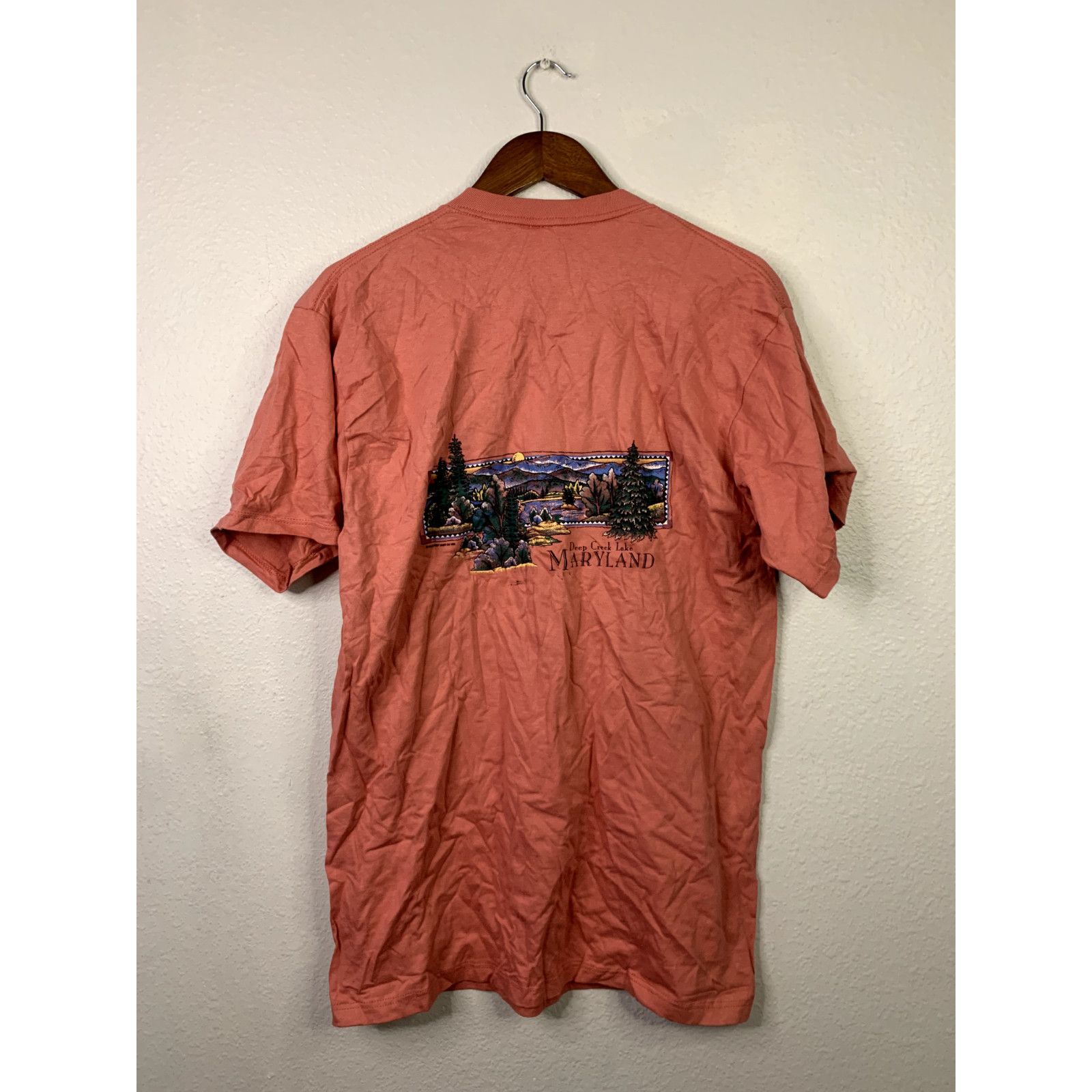 Jerzees Vintage Test Print Tee L USA Gatlinburg Maryland 90s Shirt Size US L / EU 52-54 / 3 - 2 Thumbnail