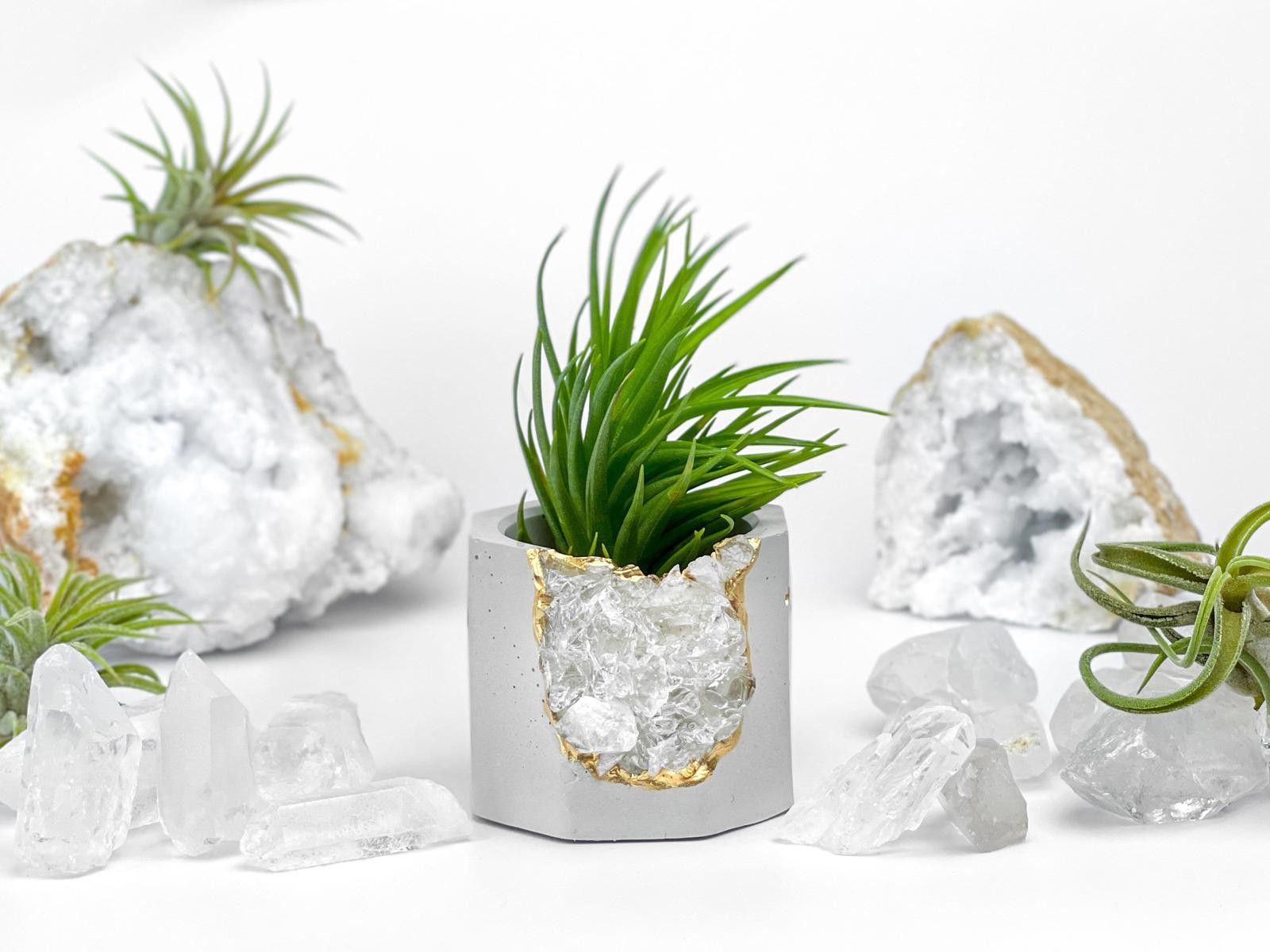 Other Raw Clear Quartz Crystal Planter Air Plant Holder Display Size ONE SIZE - 1 Thumbnail