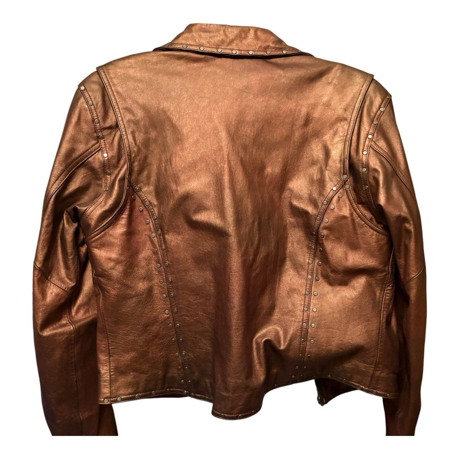 Harley Davidson Harley Davidson Jacket Bronze Leather Biker Riding Size L / US 10 / IT 46 - 2 Thumbnail