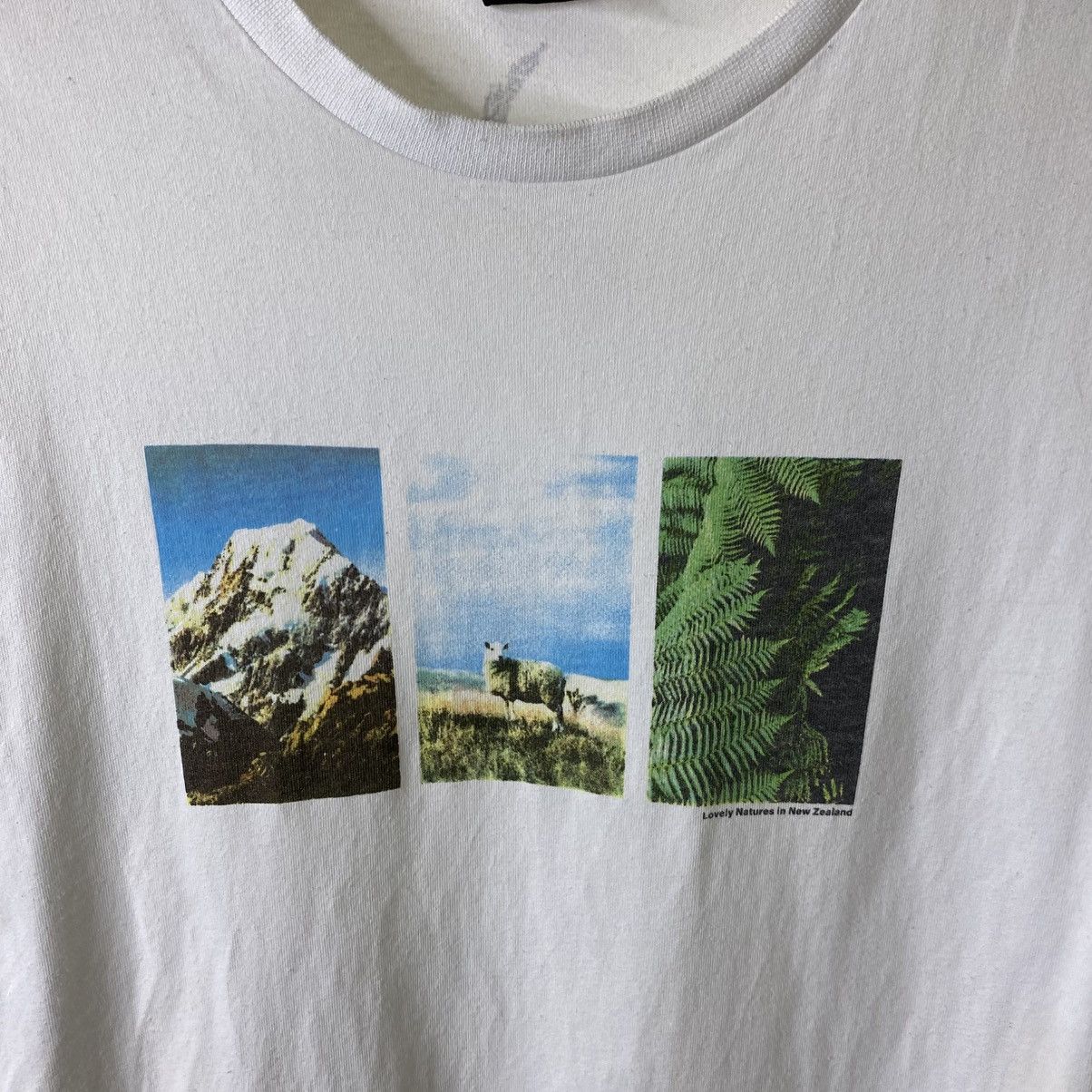 Canterbury of New Zealand Vintage Y2K Canterbury Graphic Tee Size US M / EU 48-50 / 2 - 2 Thumbnail