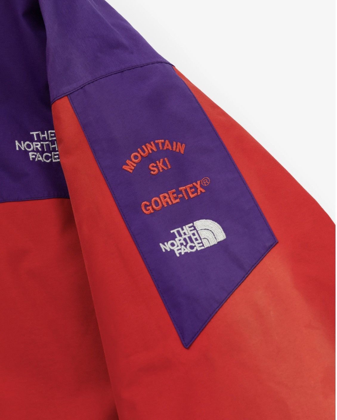 Aime Leon Dore Leon Dore Object No. 357 TNF Gore-Tex Mountain Ski Jacket Size US L / EU 52-54 / 3 - 4 Thumbnail