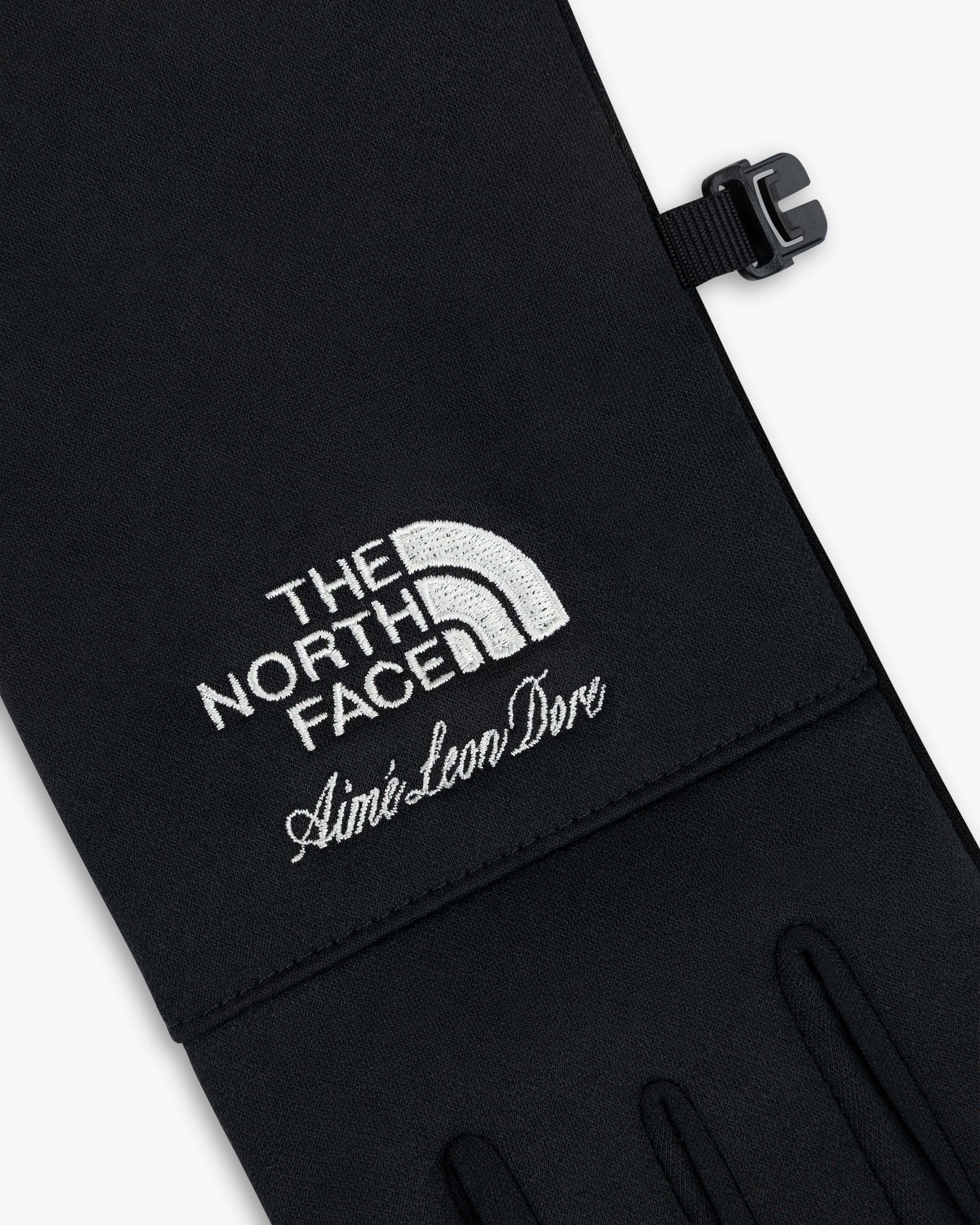 Aime Leon Dore ALD / The North Face Etip™ Gloves (size XL) | Grailed