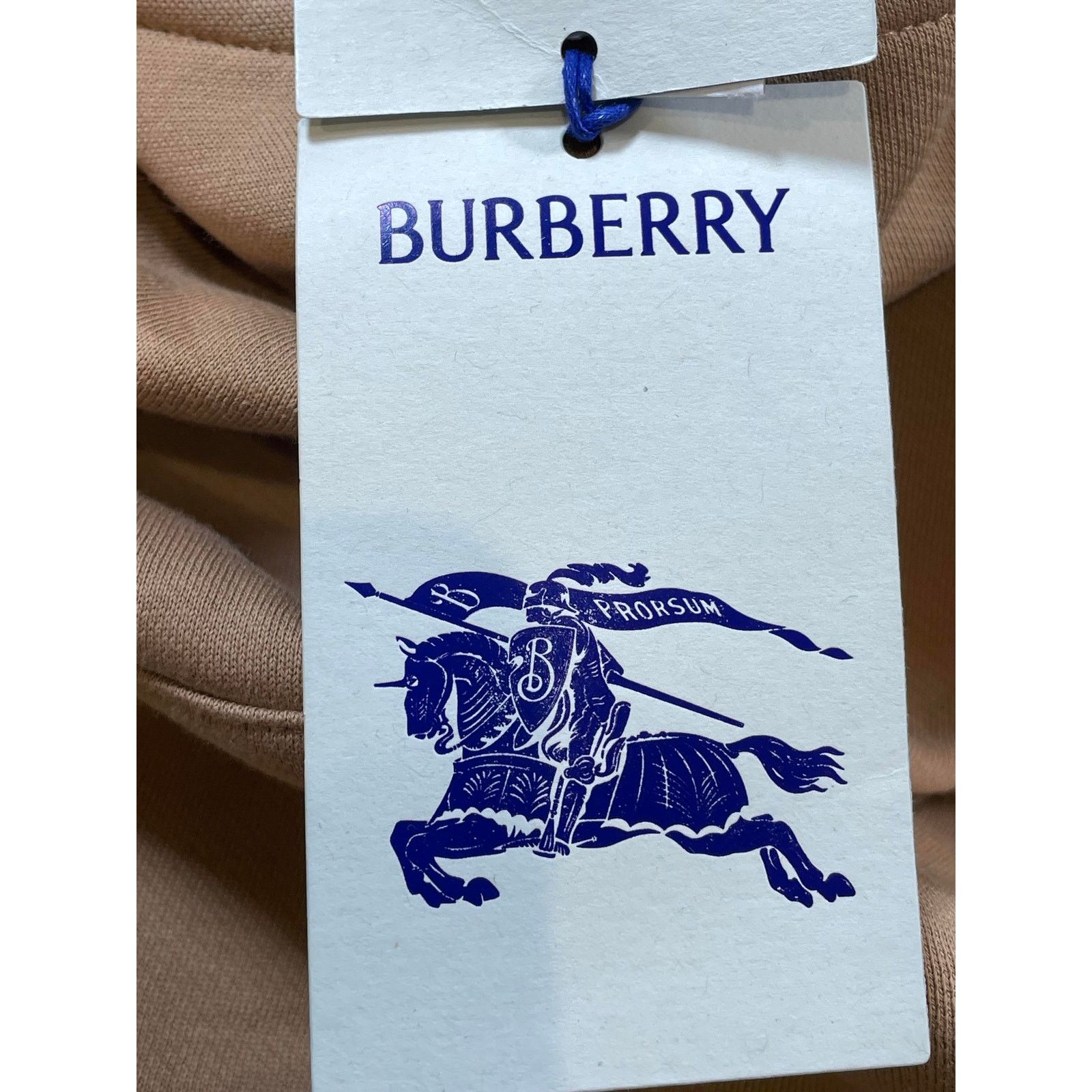 Burberry Burberry Monogram Hood Tan Hoodie Size XS / US 0-2 / IT 36-38 - 4 Thumbnail