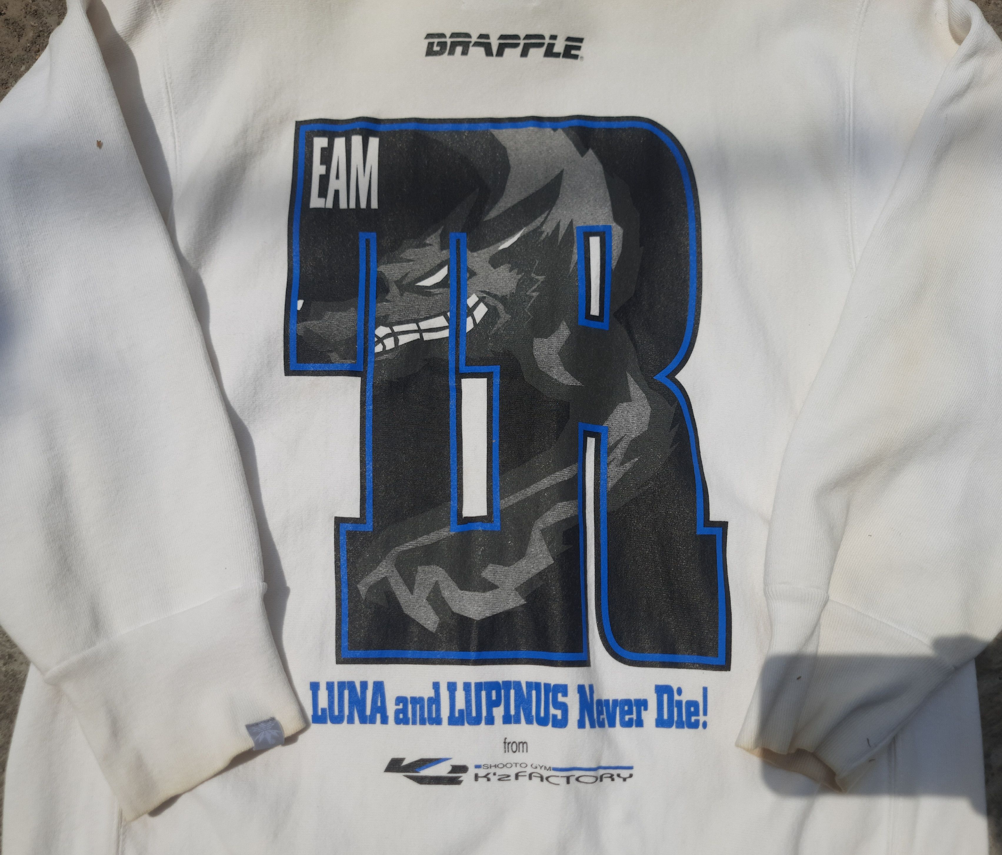 Devilock Y2K Devilock Brapple Luna & Lupinus Sweatshirts Size US L / EU 52-54 / 3 - 3 Thumbnail