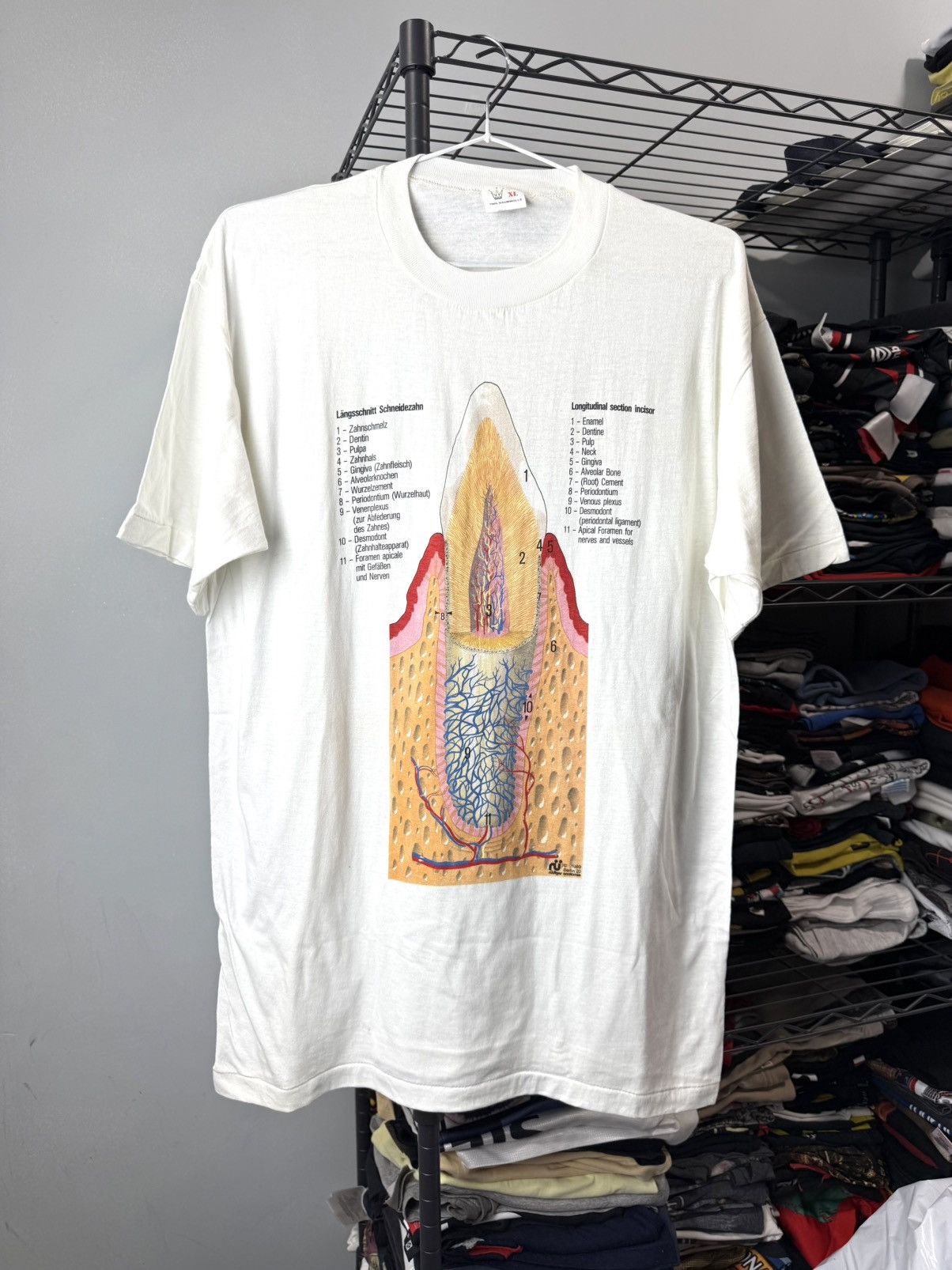 Vintage Berlin 1989 Vintage Tooth Diagram Medicine T Shirt Size US XL / EU 56 / 4 - 1 Thumbnail