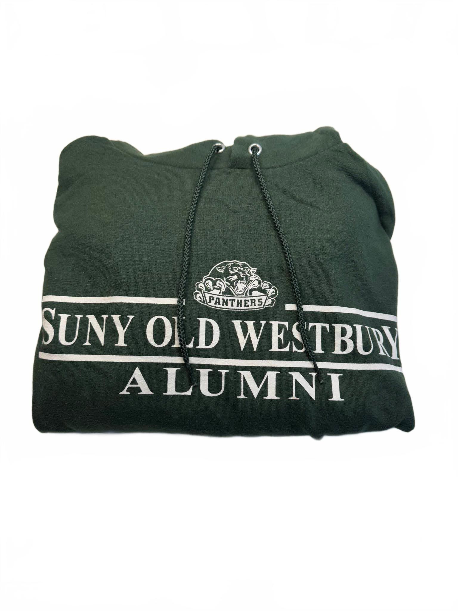 Champion Vintage Champion SUNY Old Westbury Hoodie M Green Size US M / EU 48-50 / 2 - 5 Thumbnail